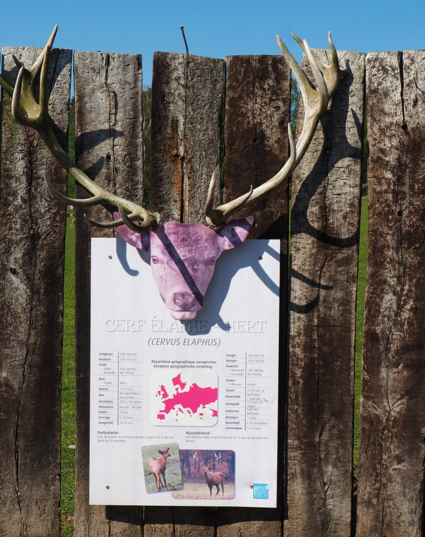 Example of deer educational signage - Red deer, 2021-05-29