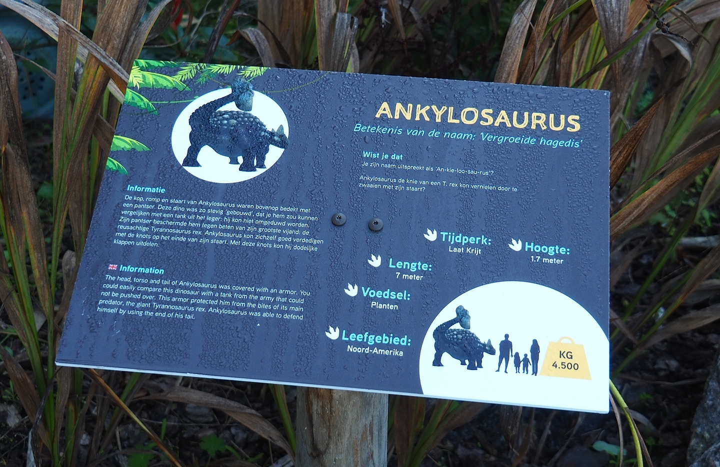 Example of Dinosaur Weeks signage, 2022-10-09