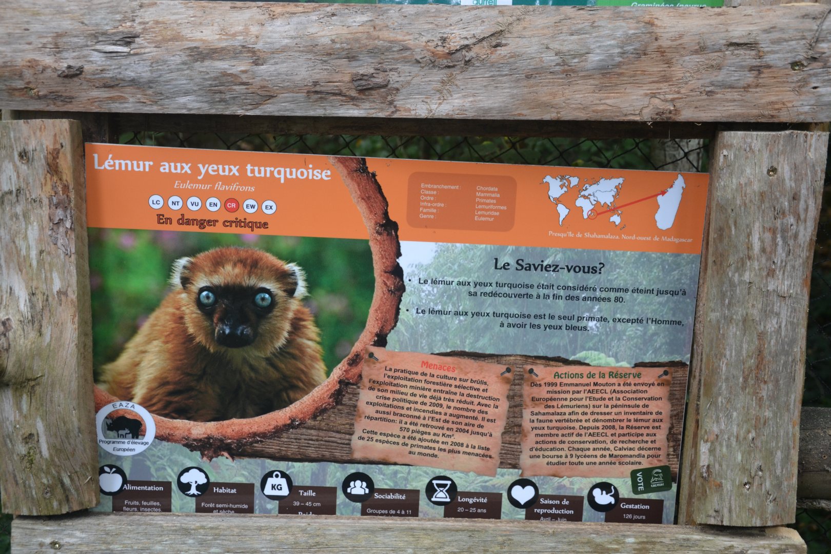 Example of educative board with information about the specie and the in situ work done