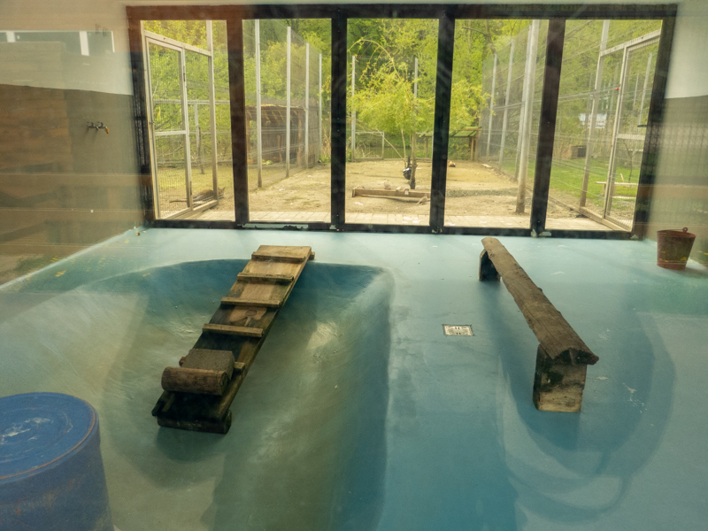 example of enclosure waterfowl, pelicans, Patagonian mara