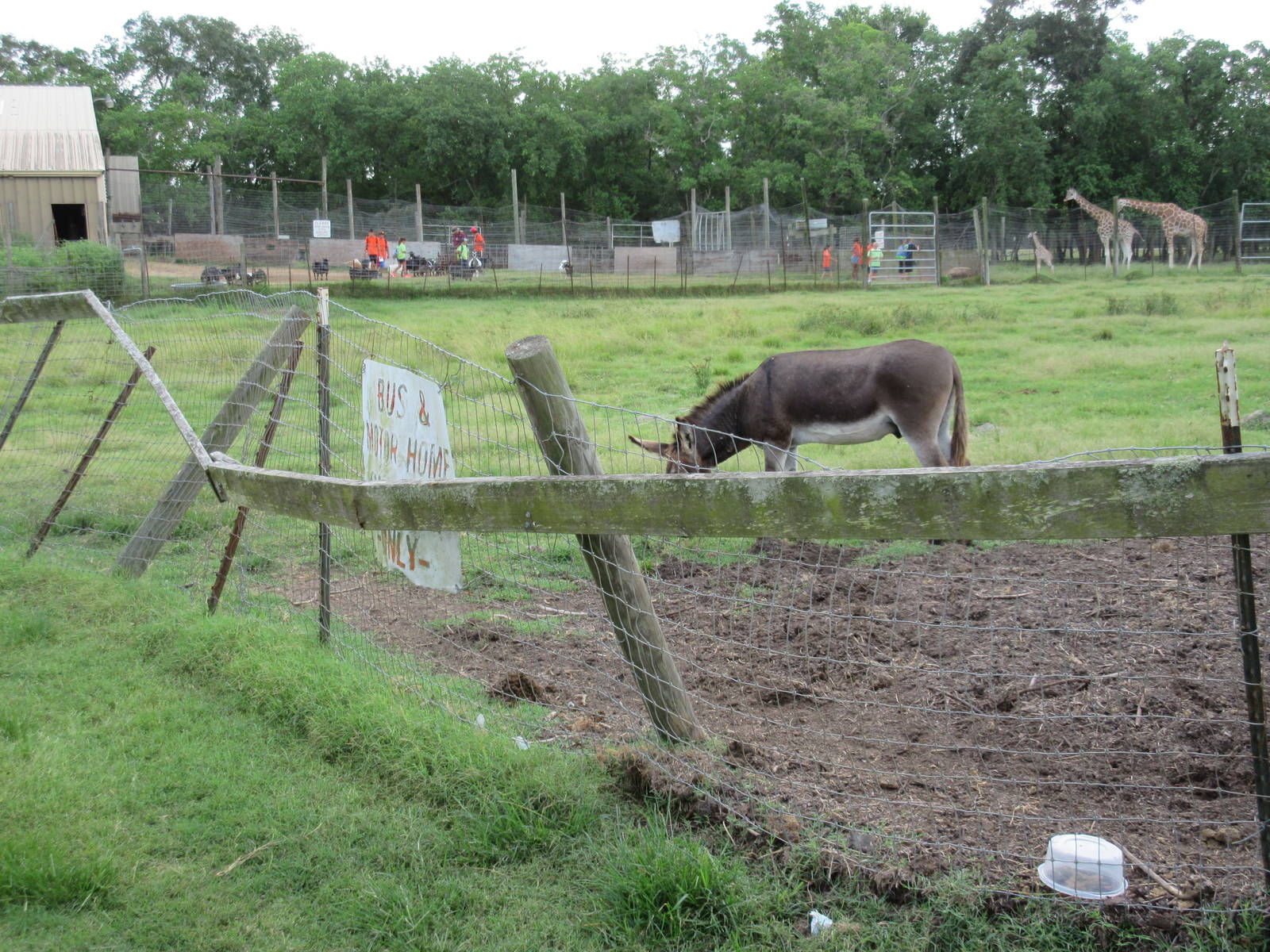 Example of fencing at this facility