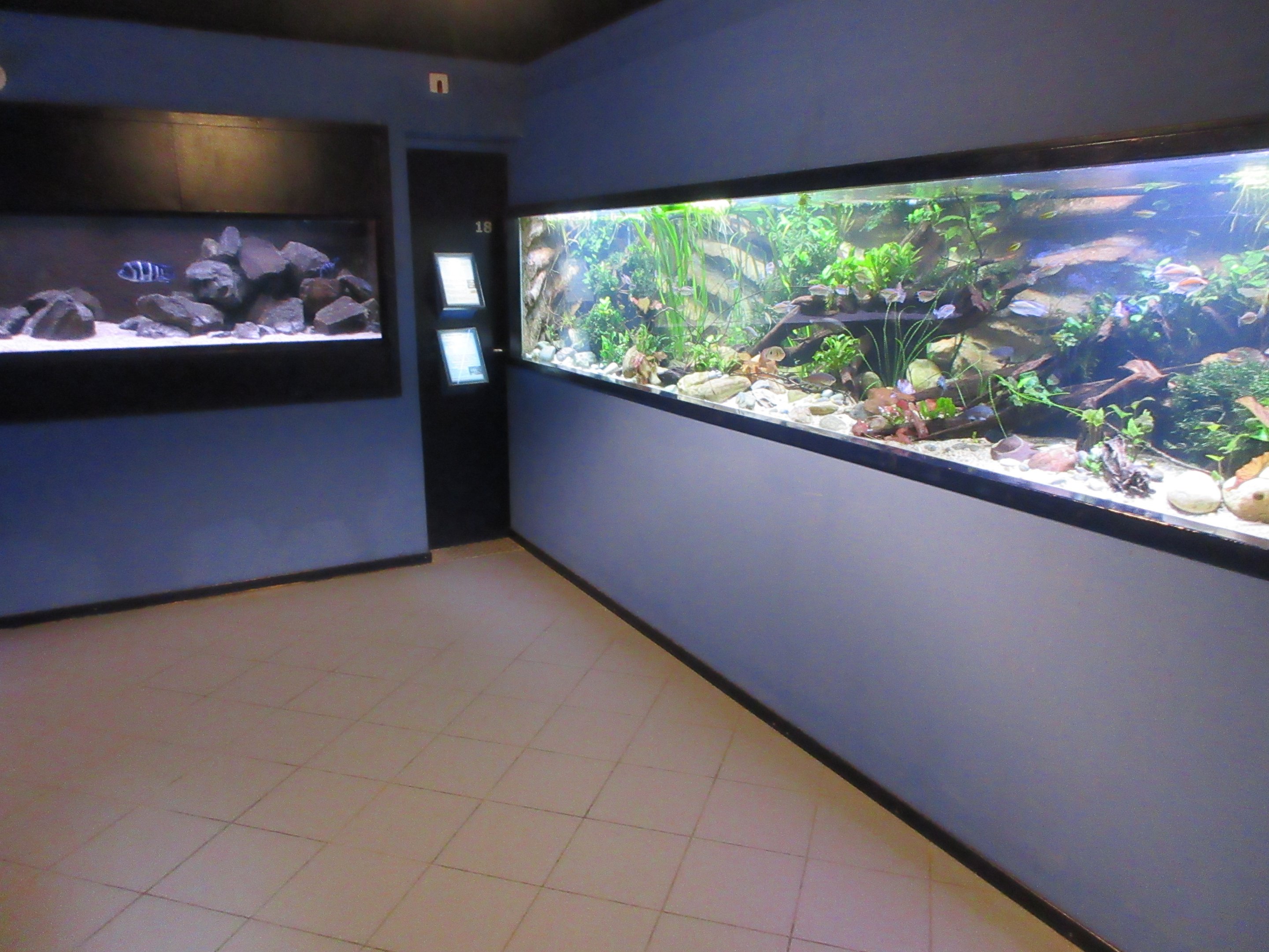 Example of fish tanks