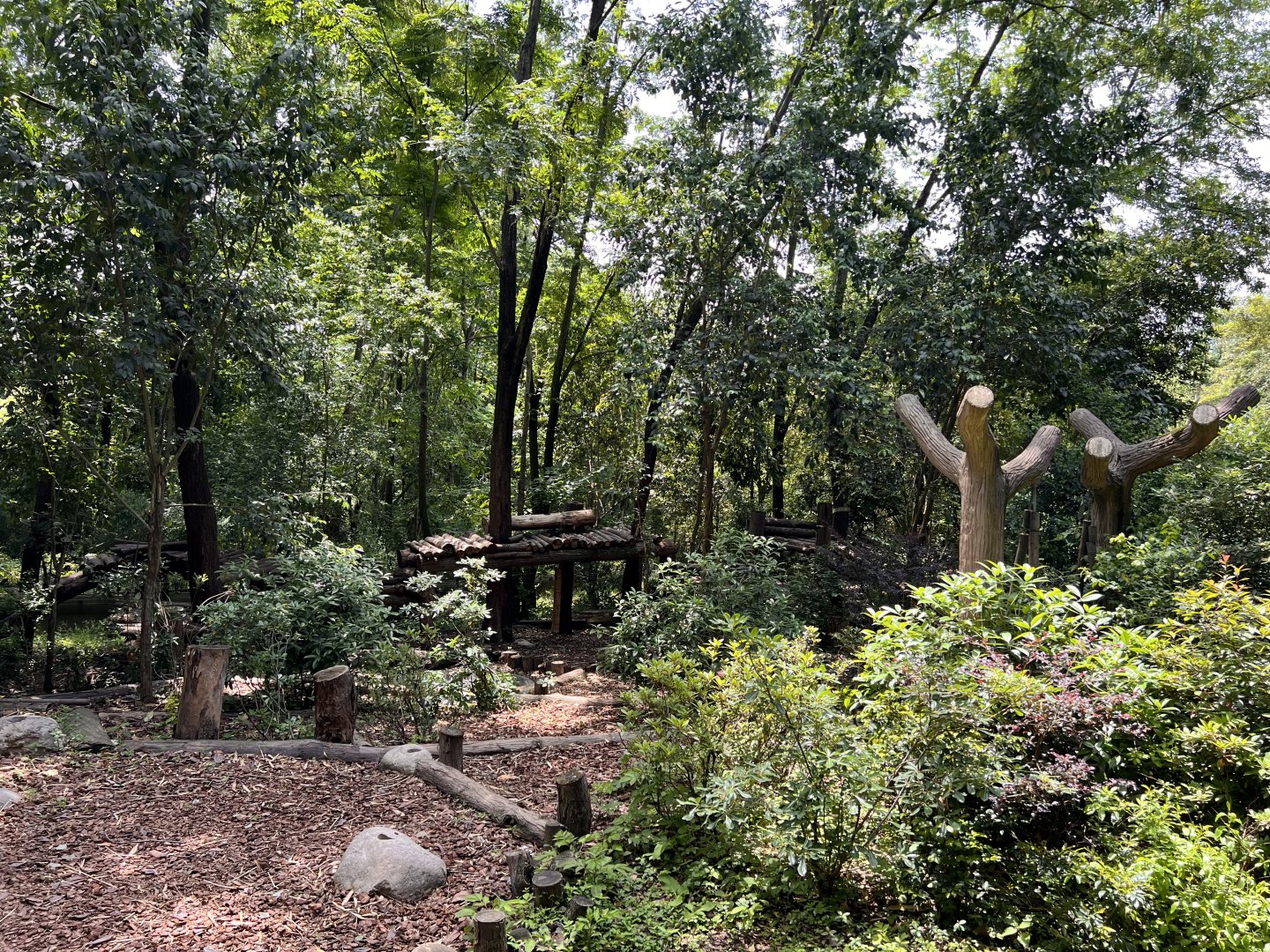 Example of Giant Panda Exhibit