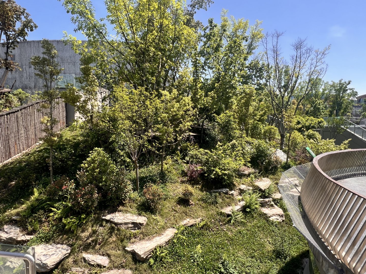 Example of Giant Panda Exhibit