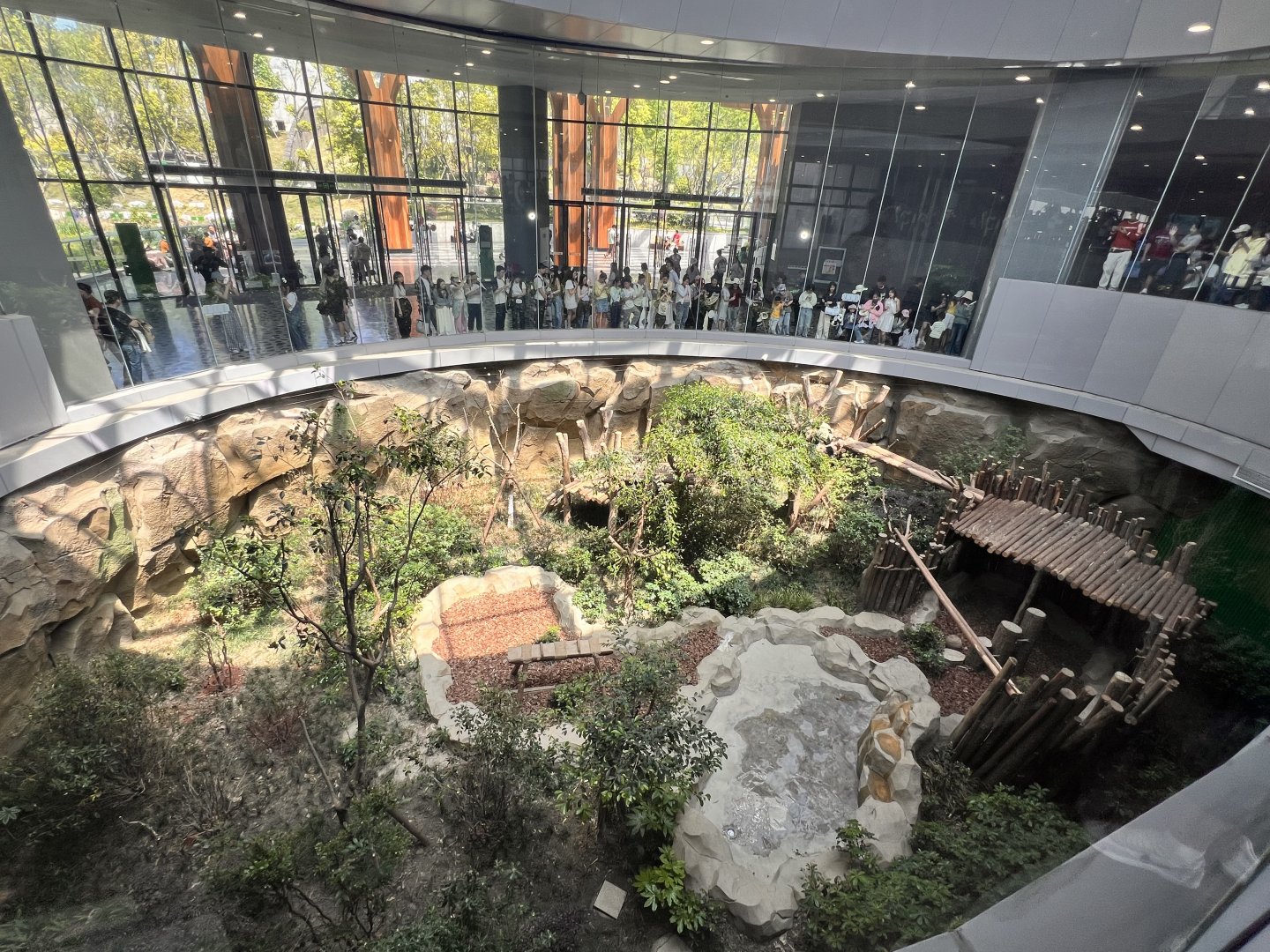 Example of Giant Panda Indoor Exhibit
