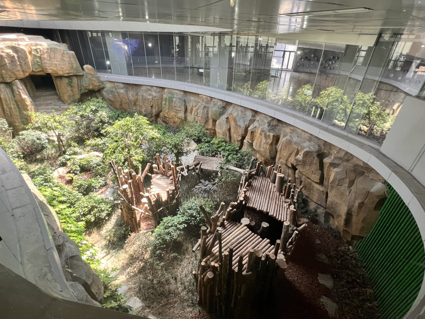 Example of Giant Panda Indoor Exhibit