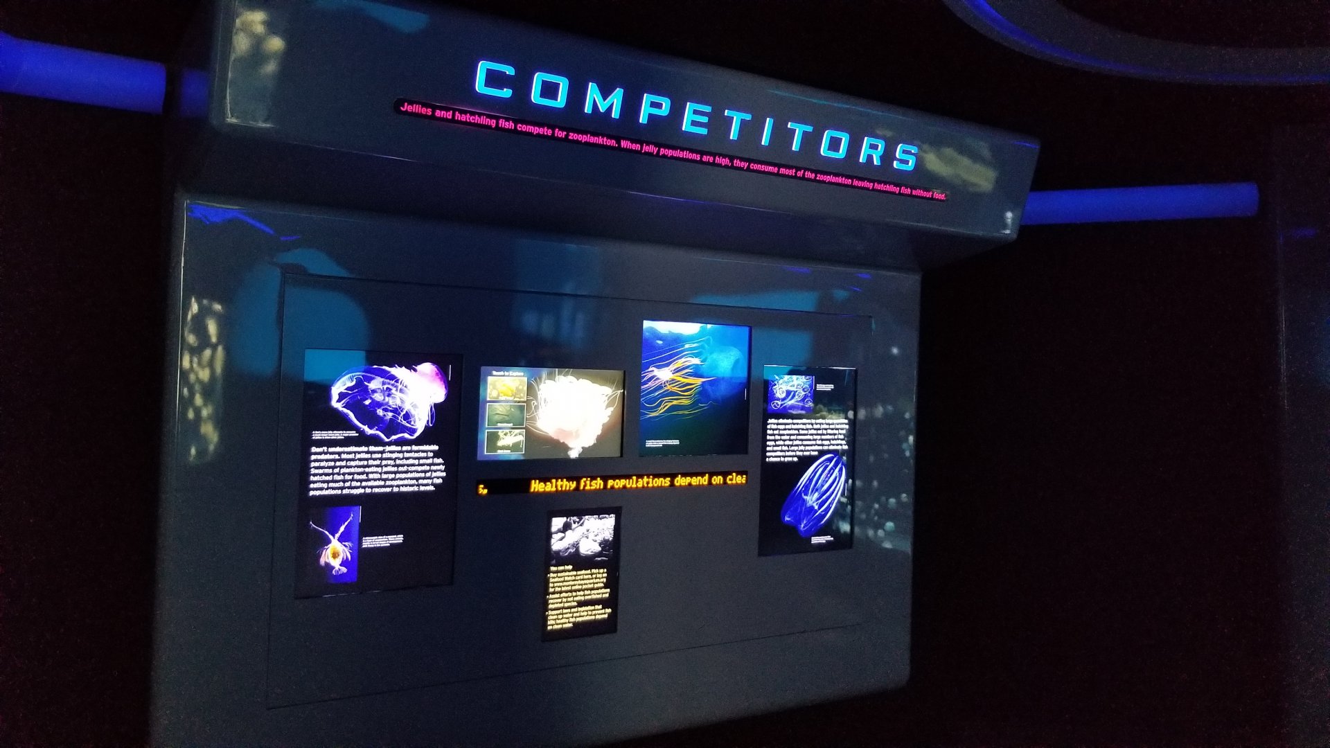 Example of Jelly Invasion signage