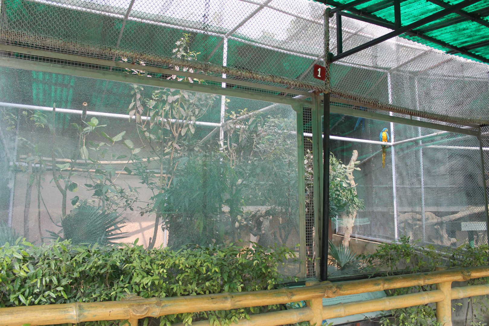 example of large parrot aviary