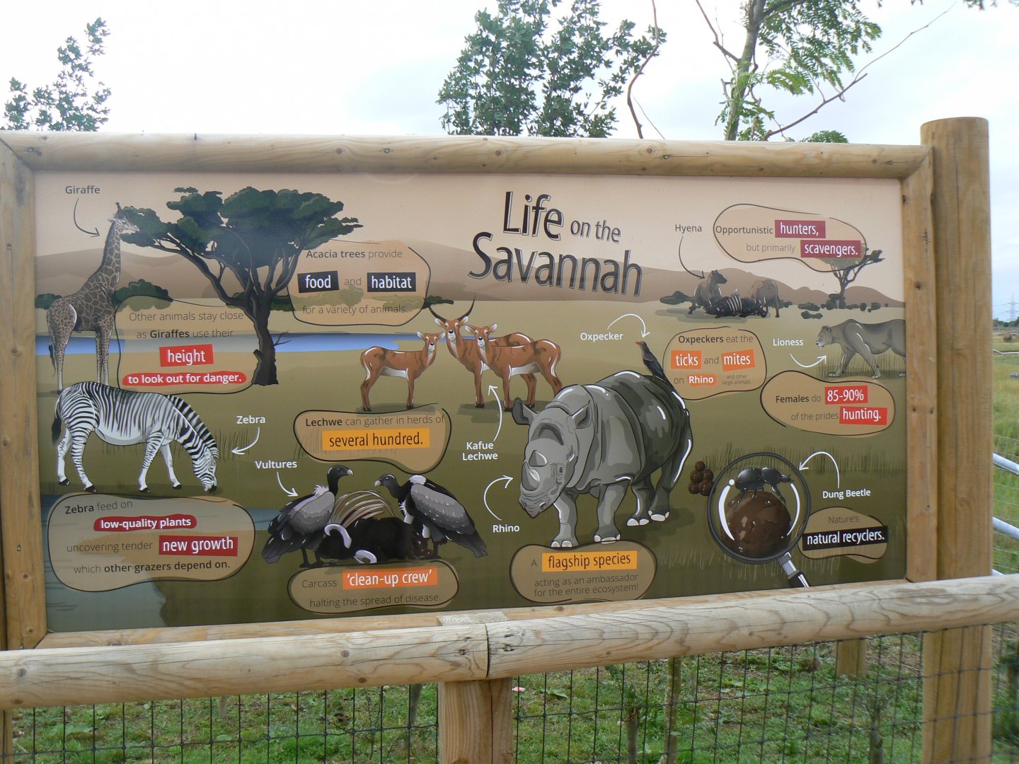 Example of Large Signage - 21 July 2017