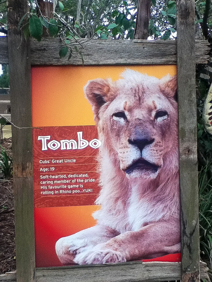 Example of Lion Signage - June 2016