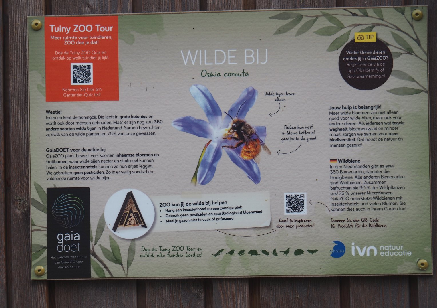 Example of native wildlife signage for wild bees, 2024-08-21
