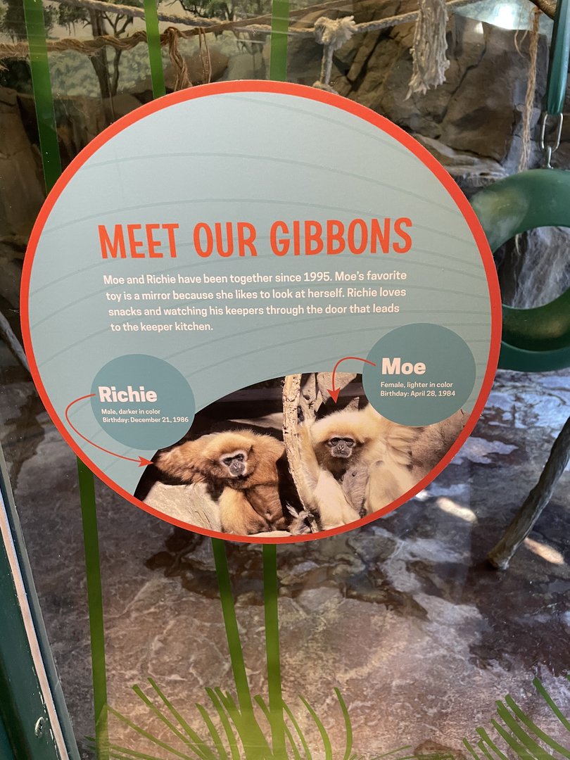 Example of New Signage #1 (10/22/23)