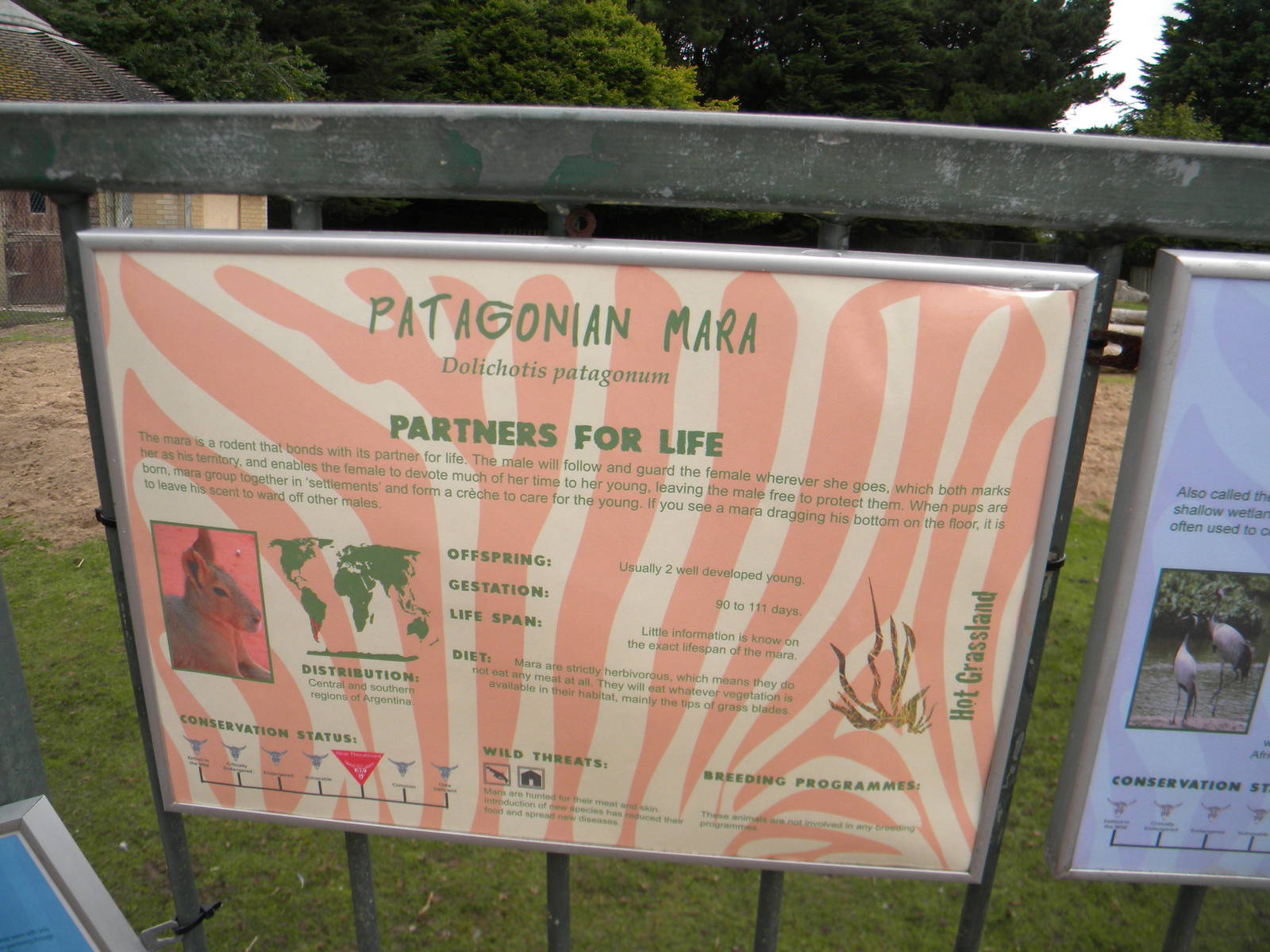 Example of new signage at Blackpool Zoo 21/08/11