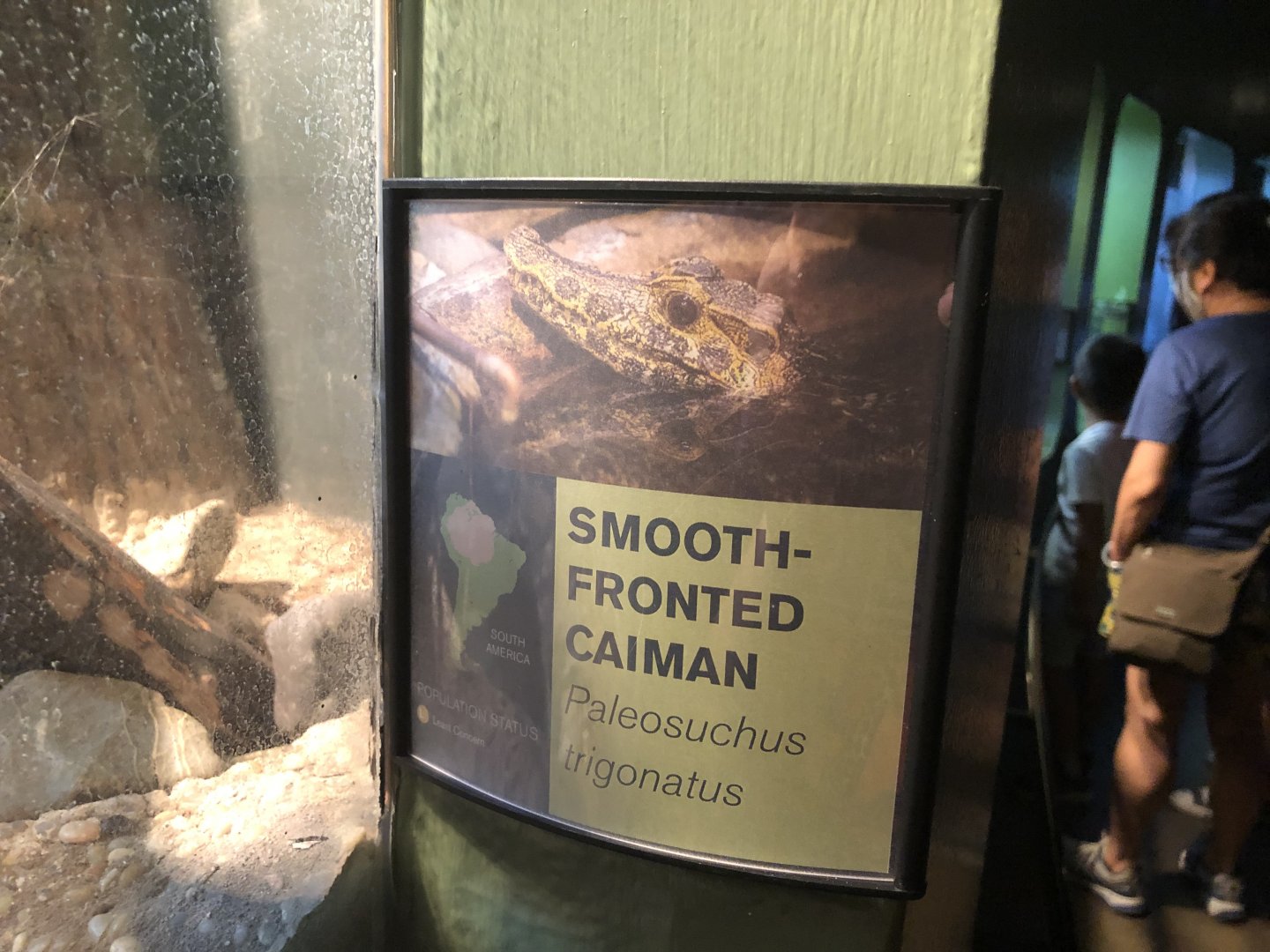 Example of new signage in reptile house