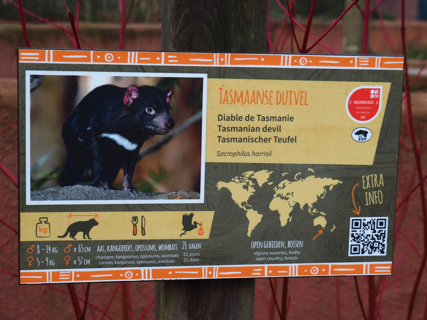 Example of new signage - Tasmanian devil sign, 2019-12-28