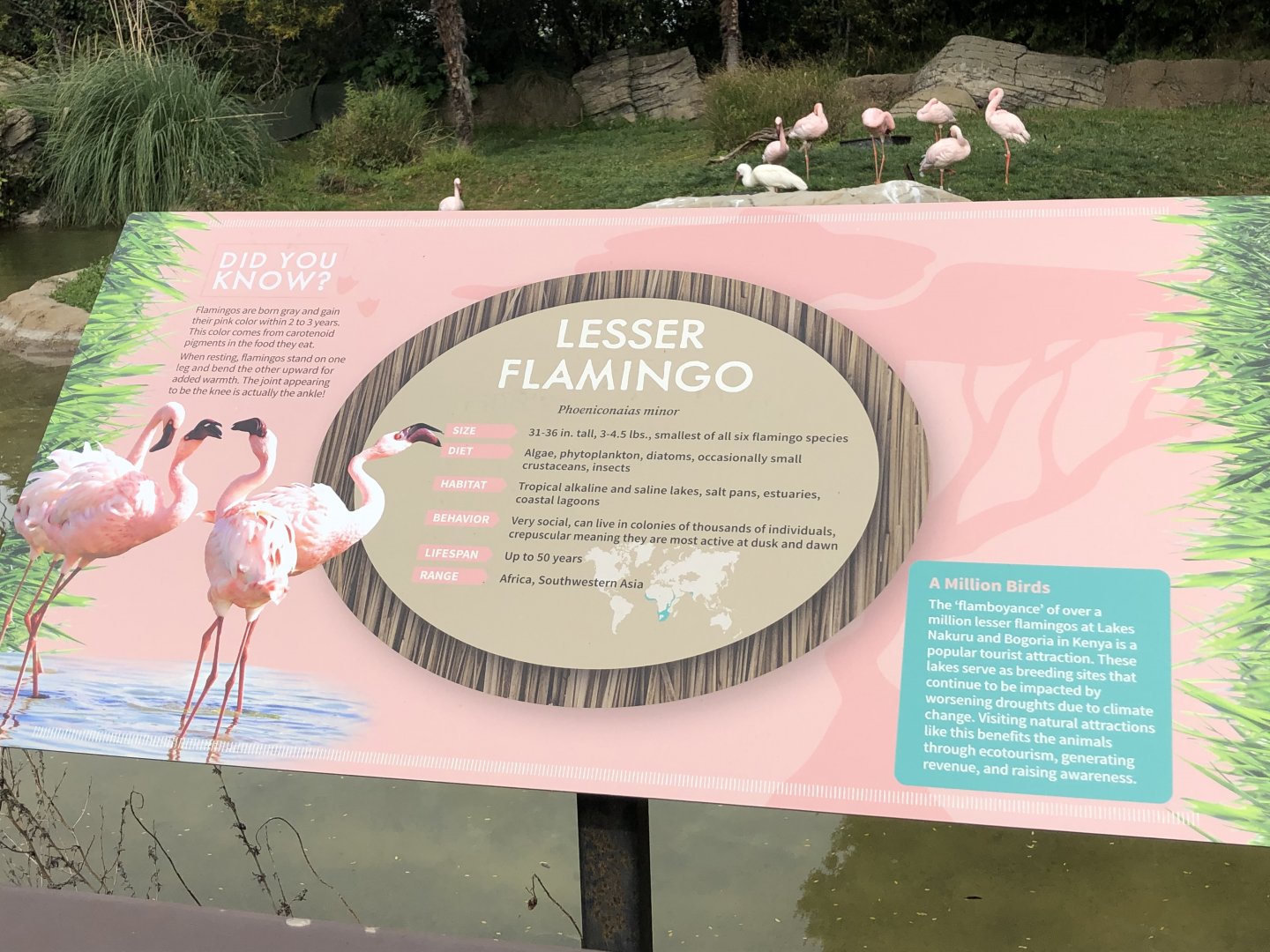 Example of new signage