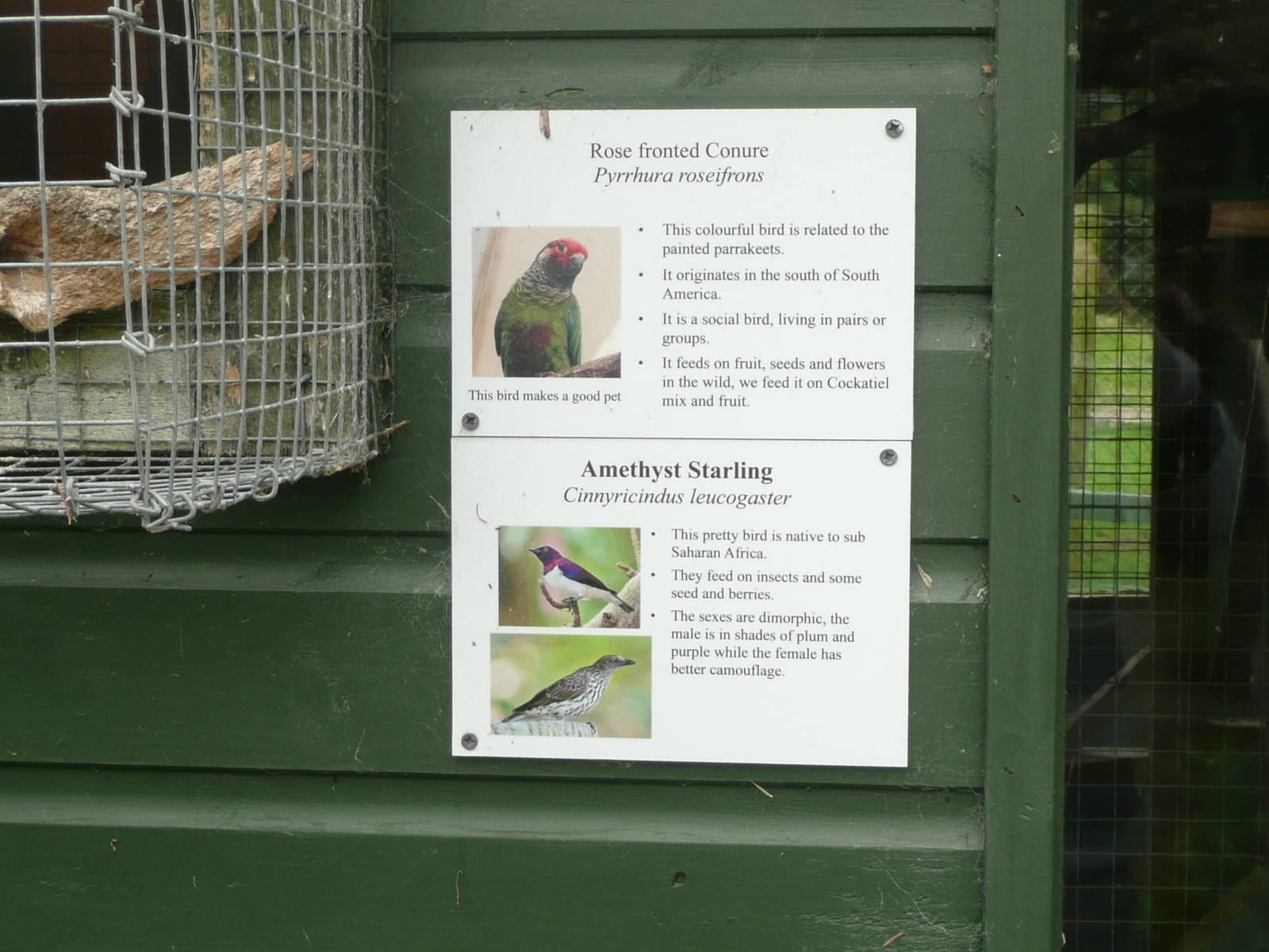 Example of new signs