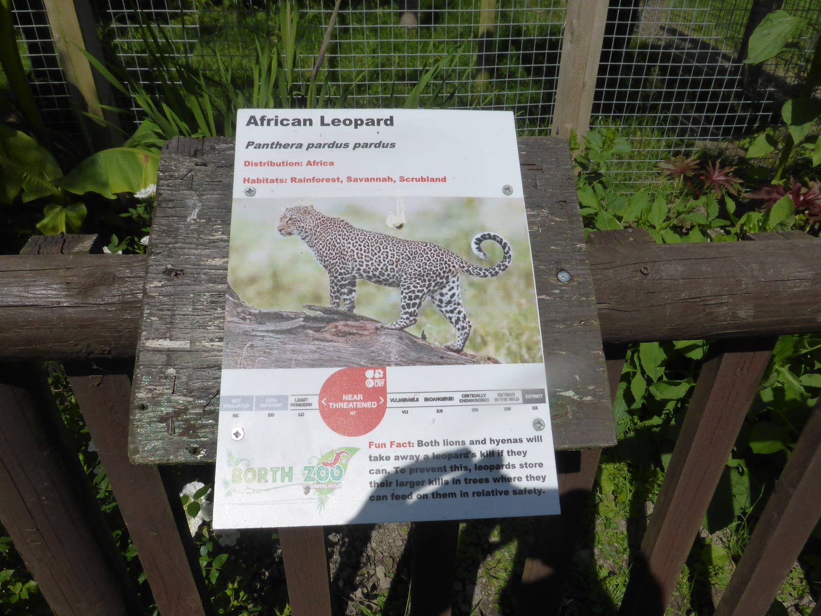 Example of new signs .