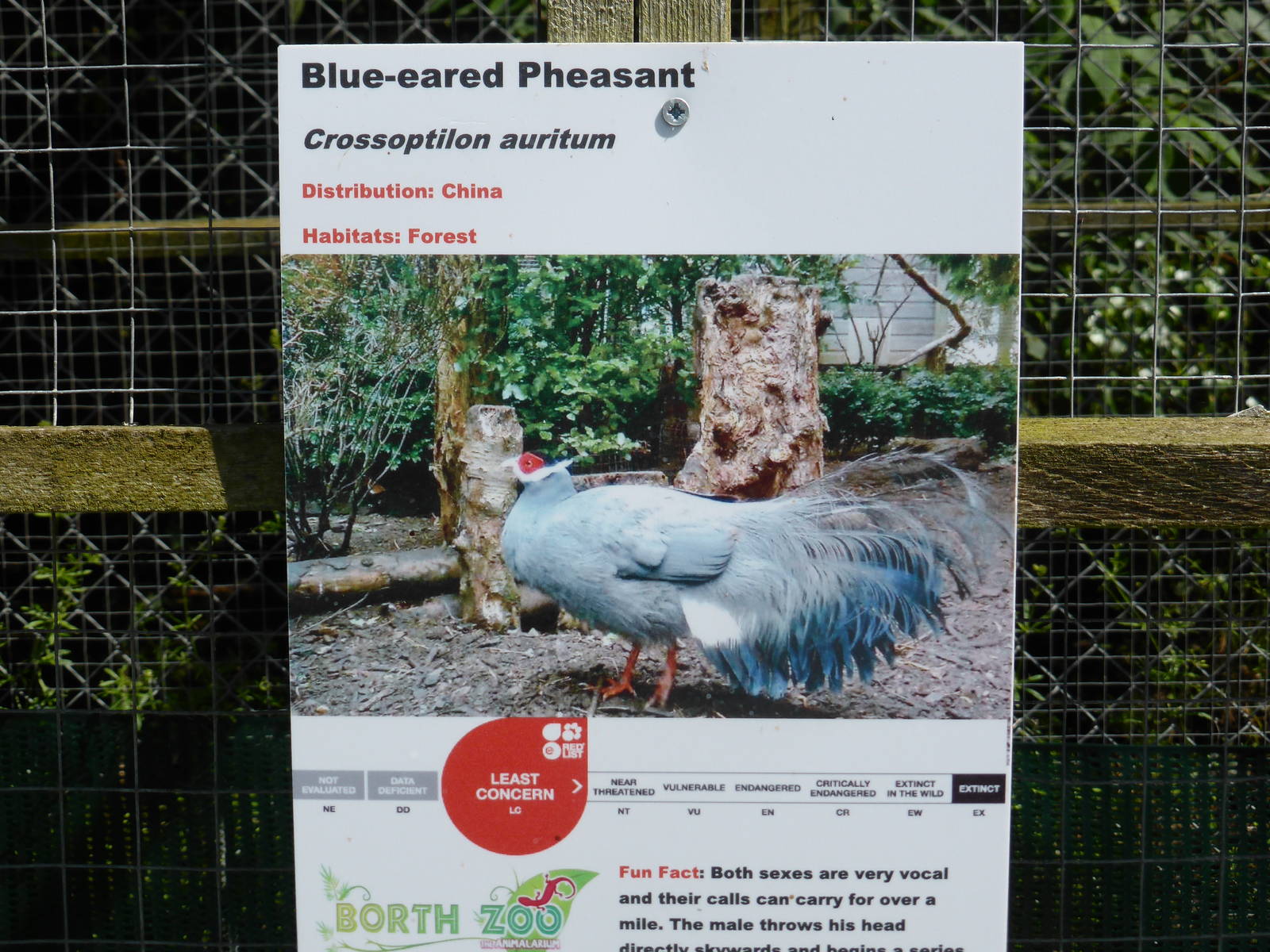 Example of new signs .