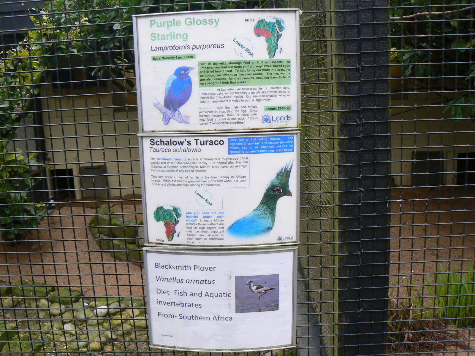 Example of New 'Temporary' Signage - 19 February 2016