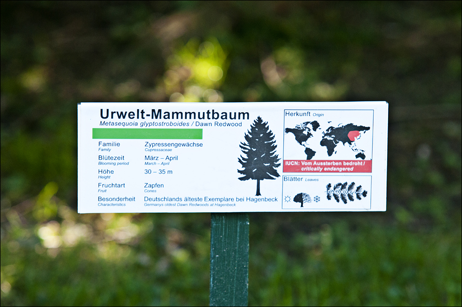 Example of new tree-sign at Hamburg
