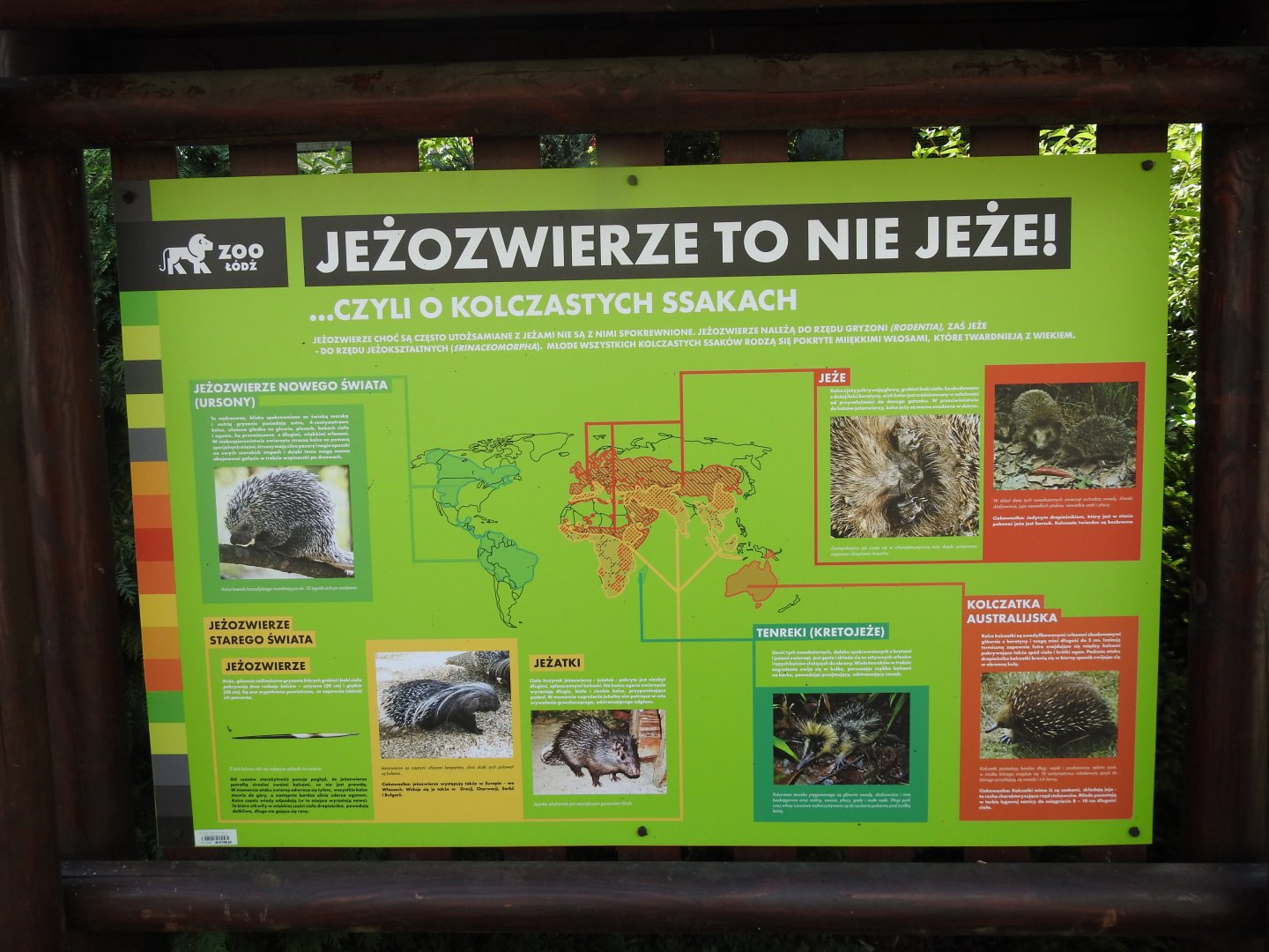 Example of new type educational boards