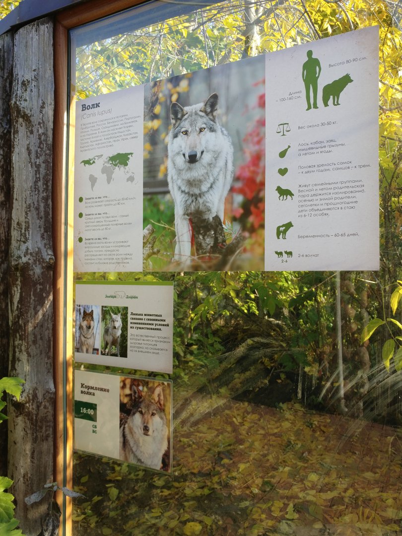 Example of new wolf signage