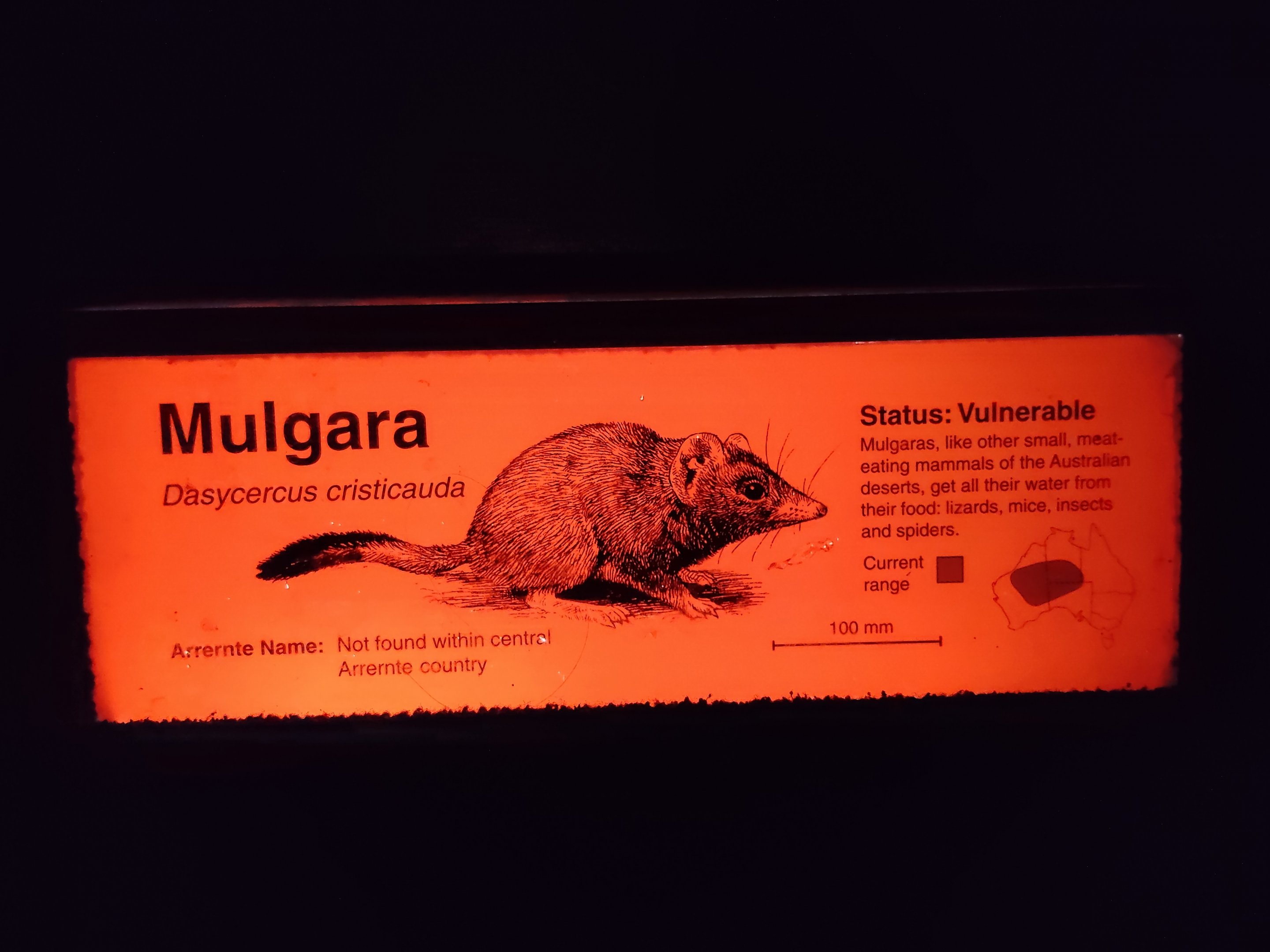 Example of Nocturnal House signage