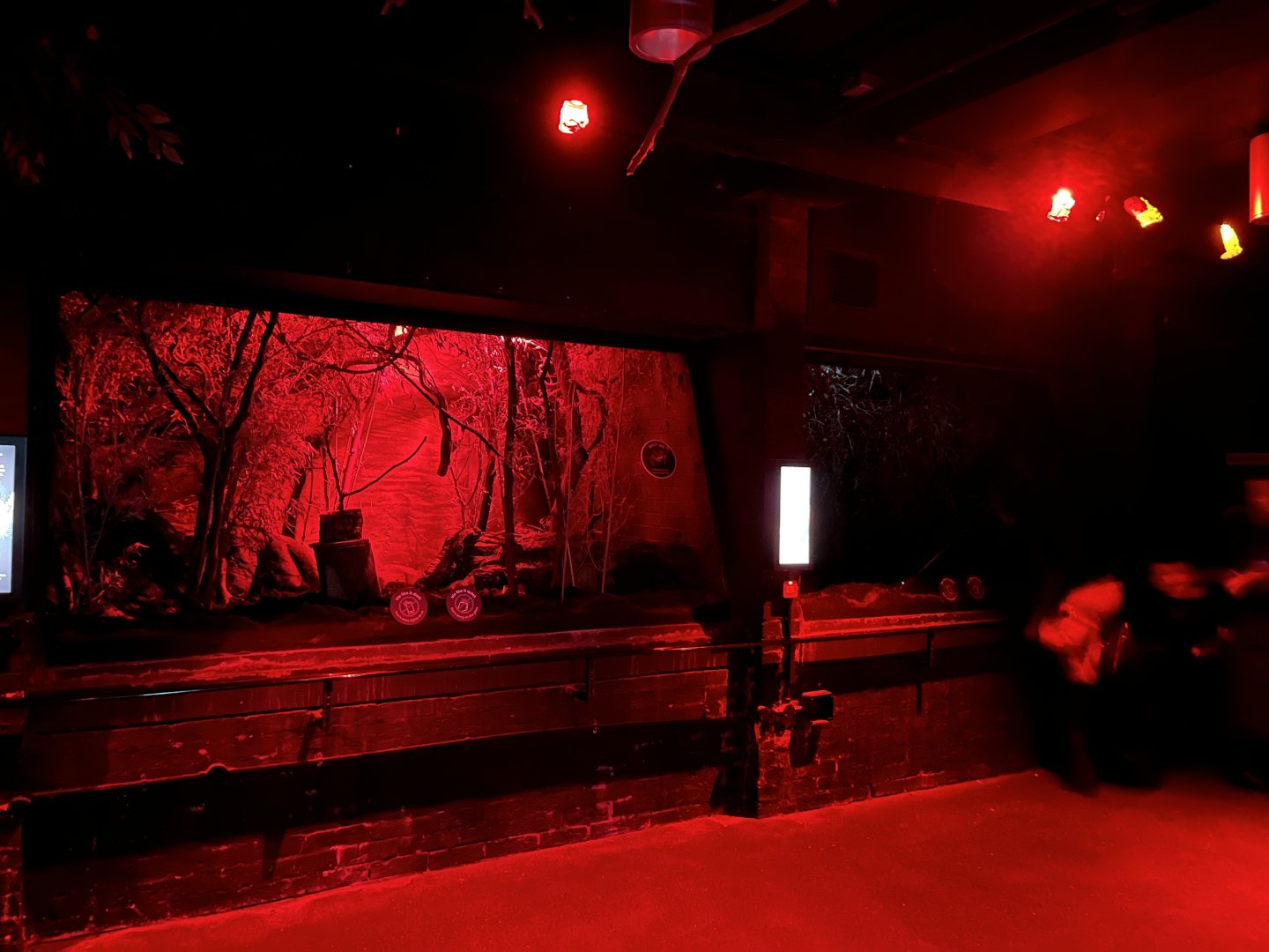 Example of nocturnal primate enclosures 11.2.25