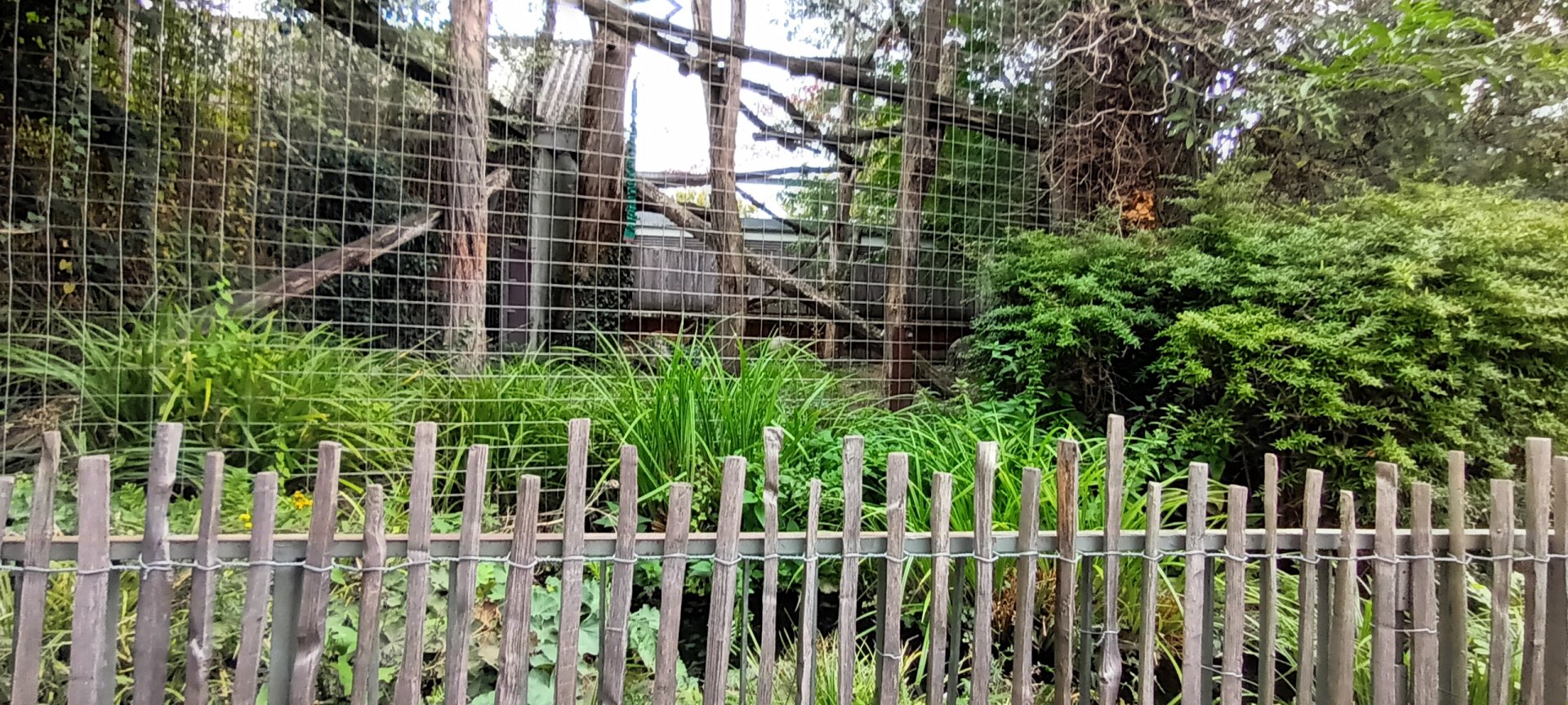 Example of North chinese Leopard Enclosure