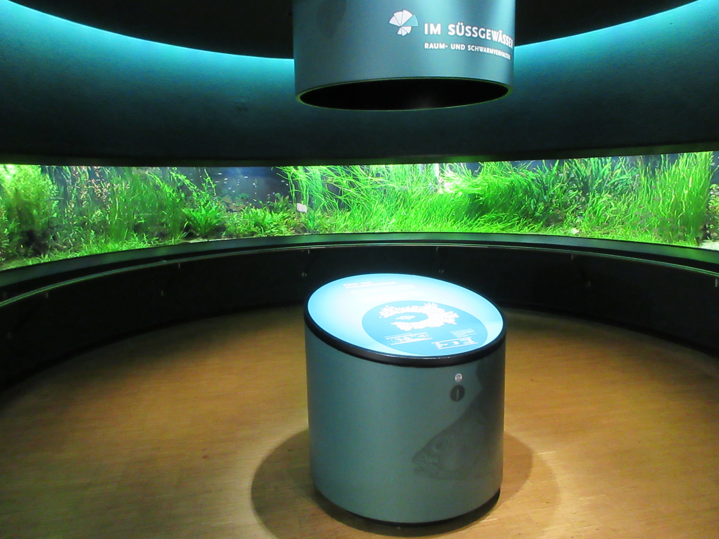 Example of one of the 25 rooms (amazing!)