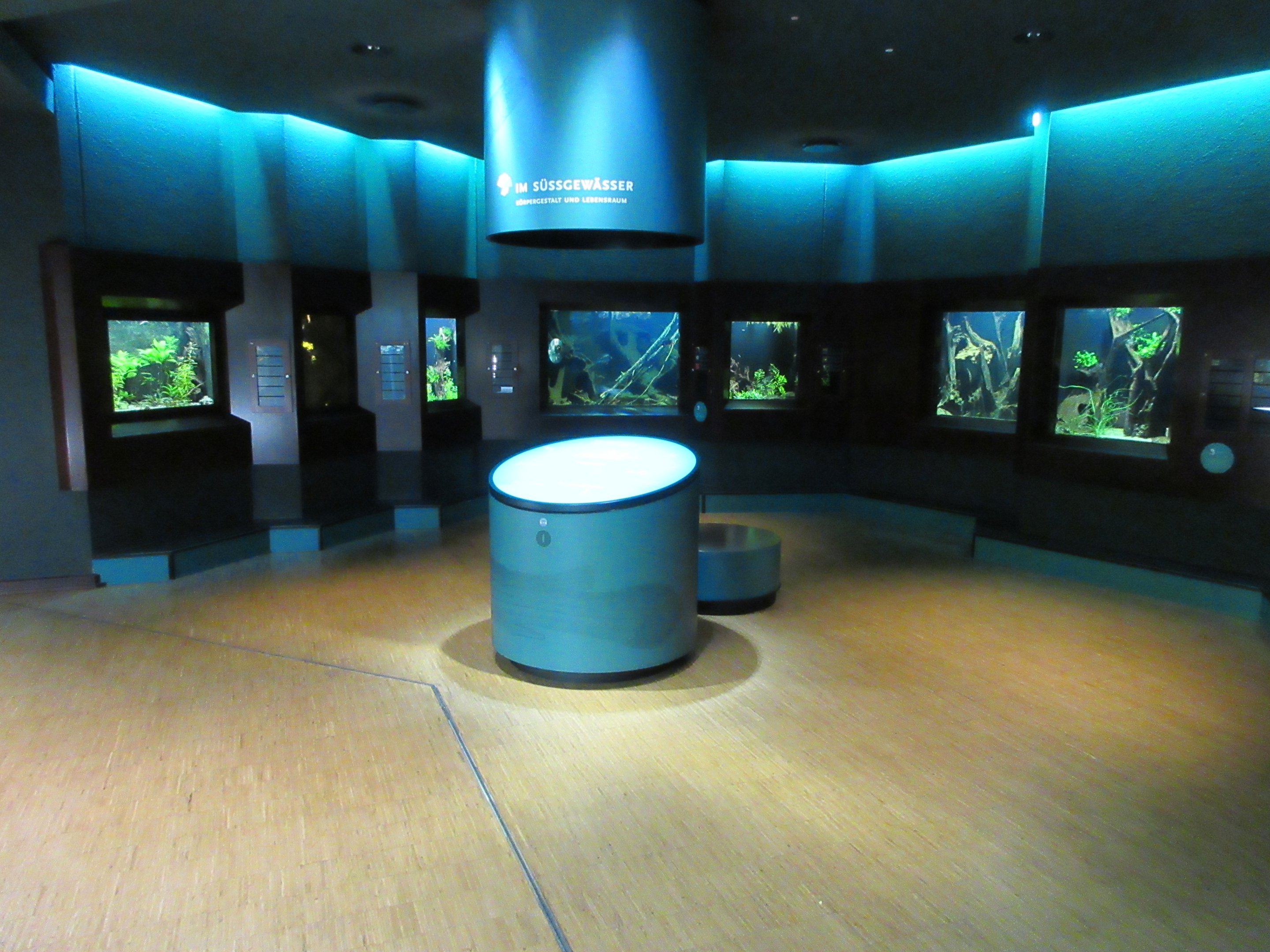 Example of one of the 25 rooms