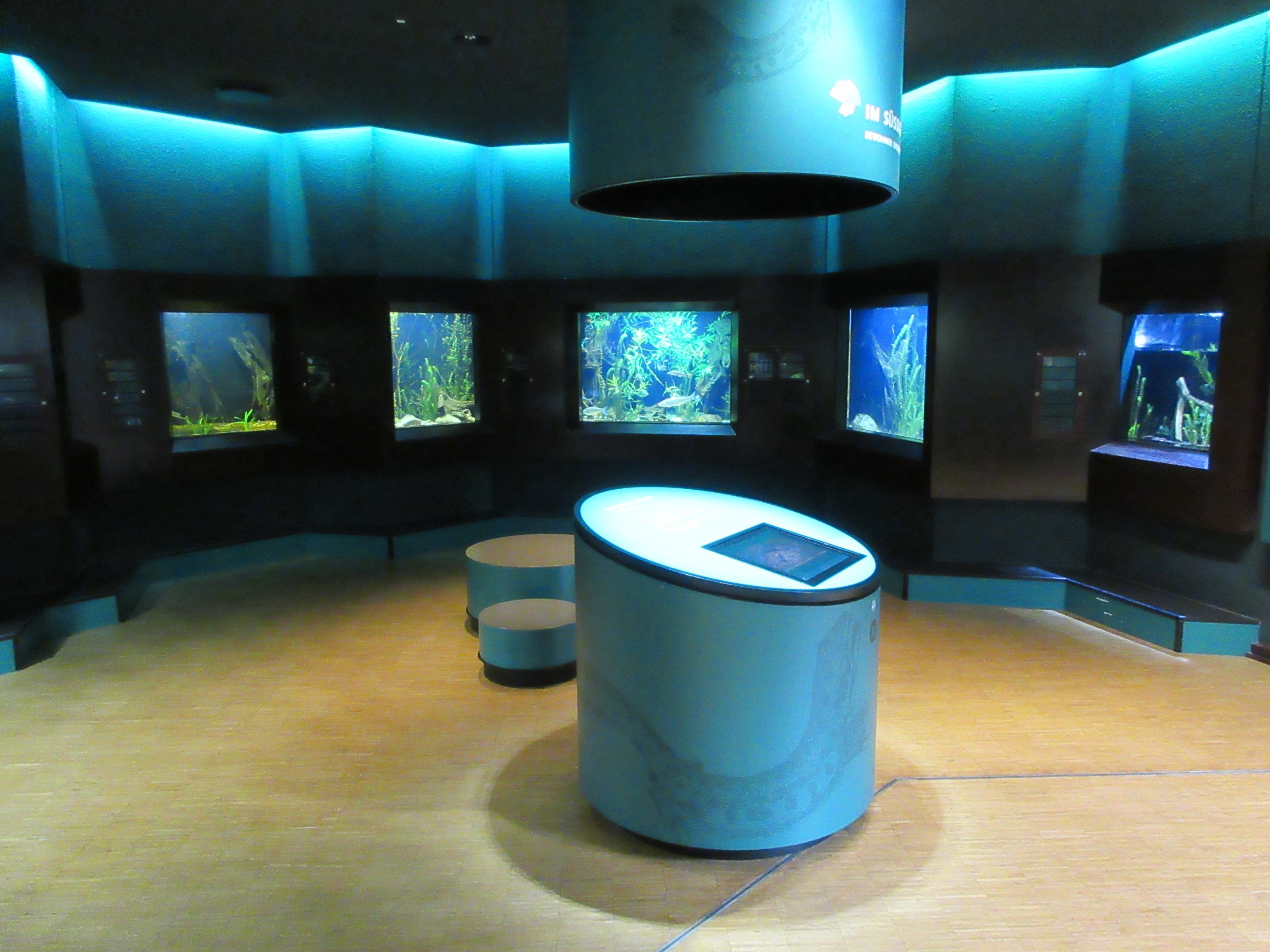 Example of one of the 25 rooms