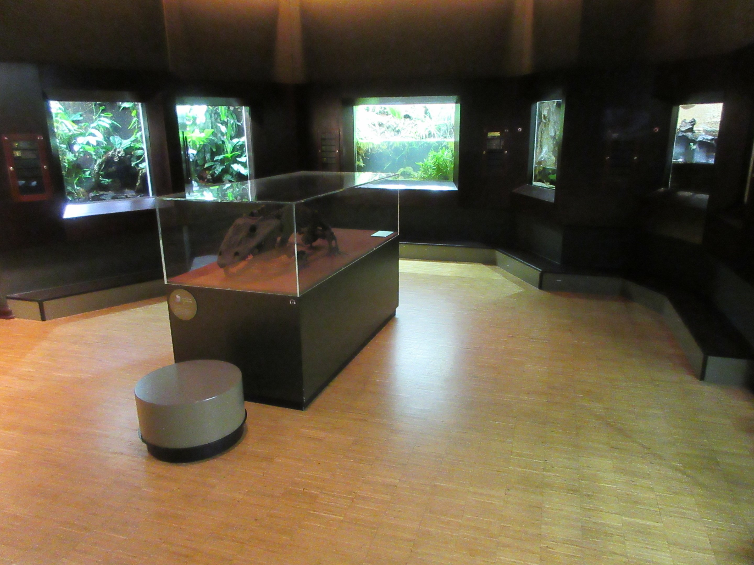 Example of one of the 25 rooms