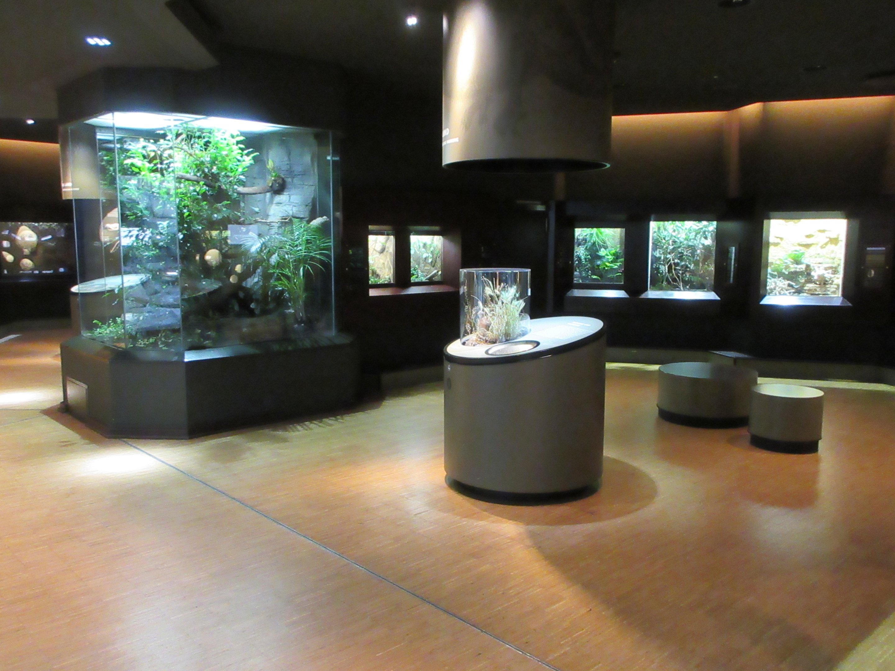 Example of one of the 25 rooms