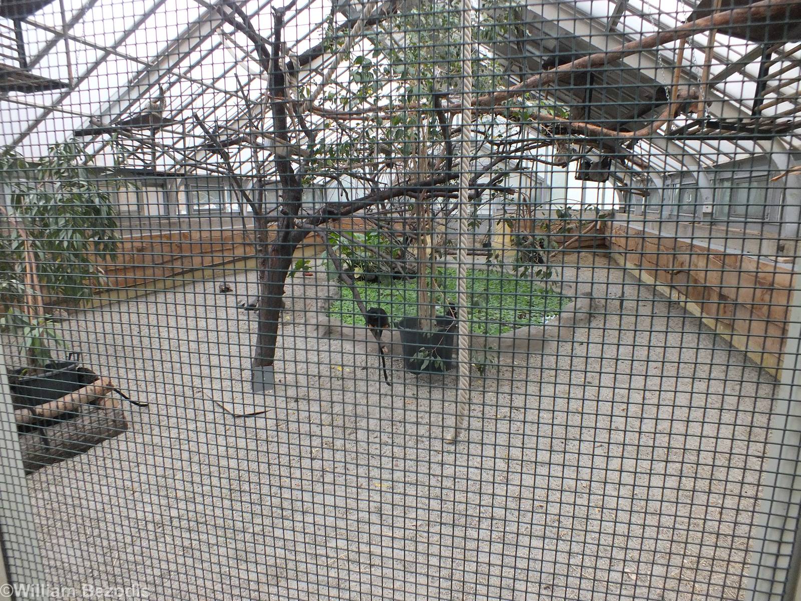 Example of one of the sections for Amazonia