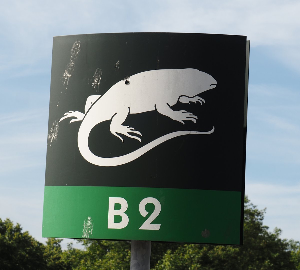 Example of parking lot row signage with animal icons, 2024-06-30