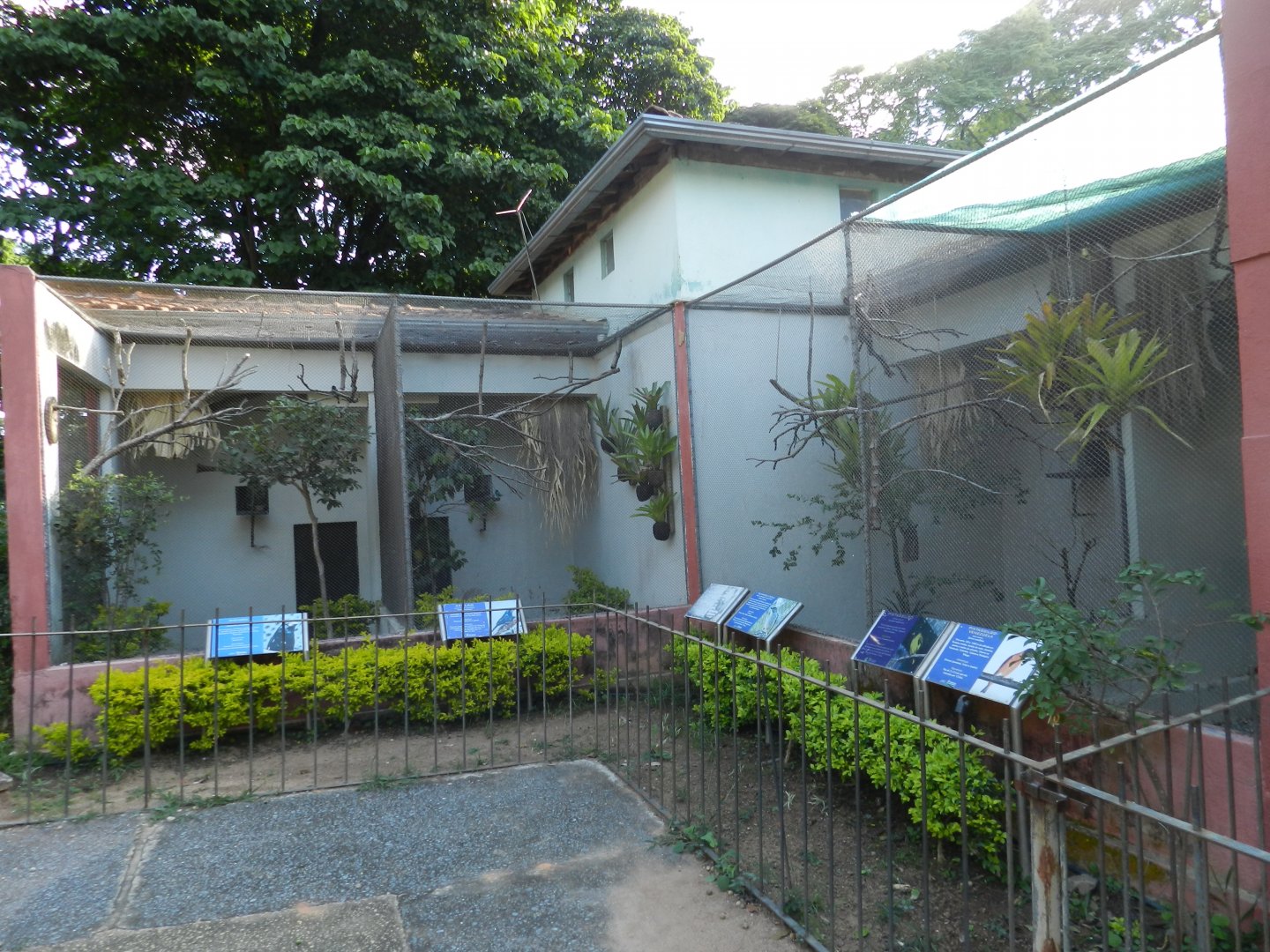 Example of passerine exhibits - Belo Horizonte zoo