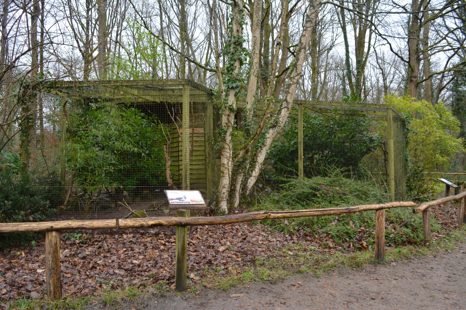 Example of pheasants aviaries