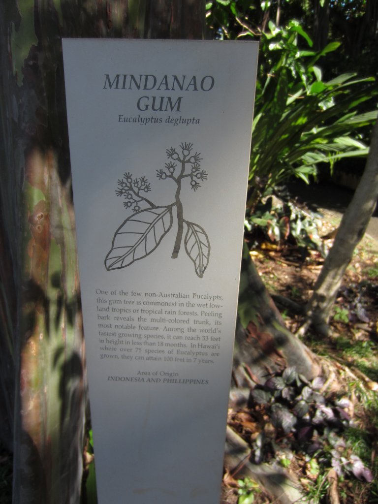 Example of Plant label