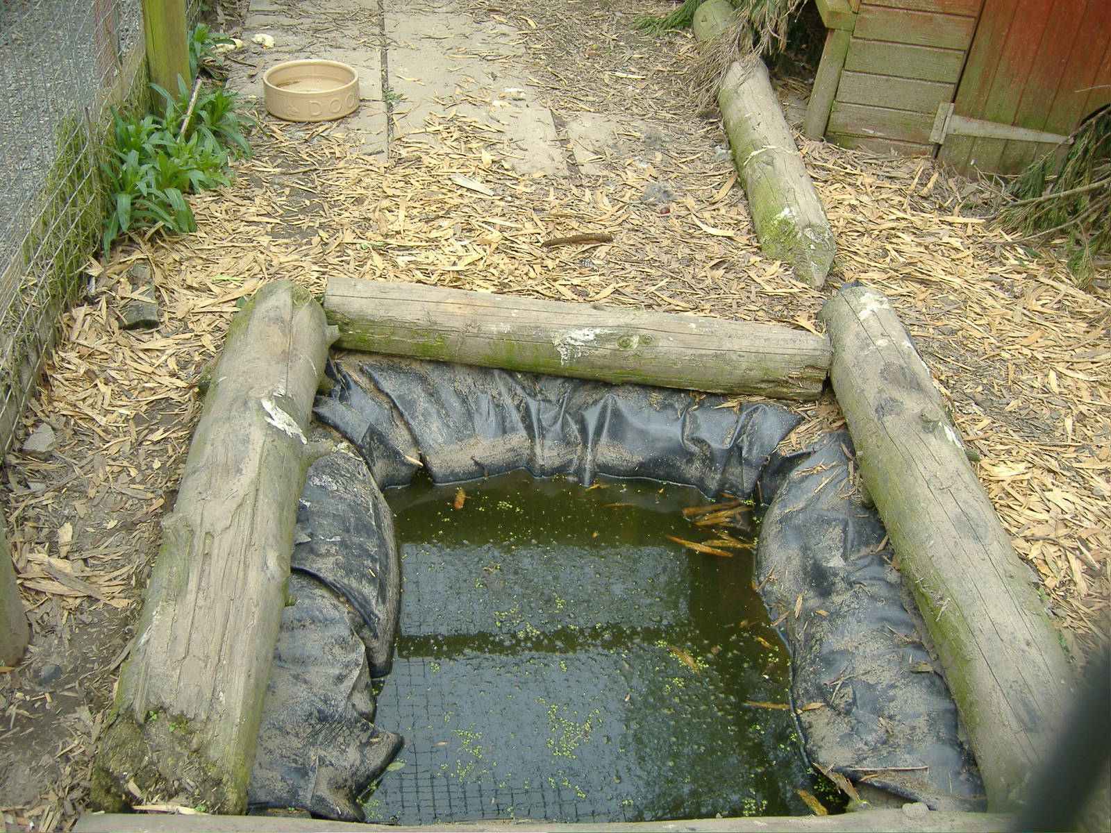 Example of pool Animalarium