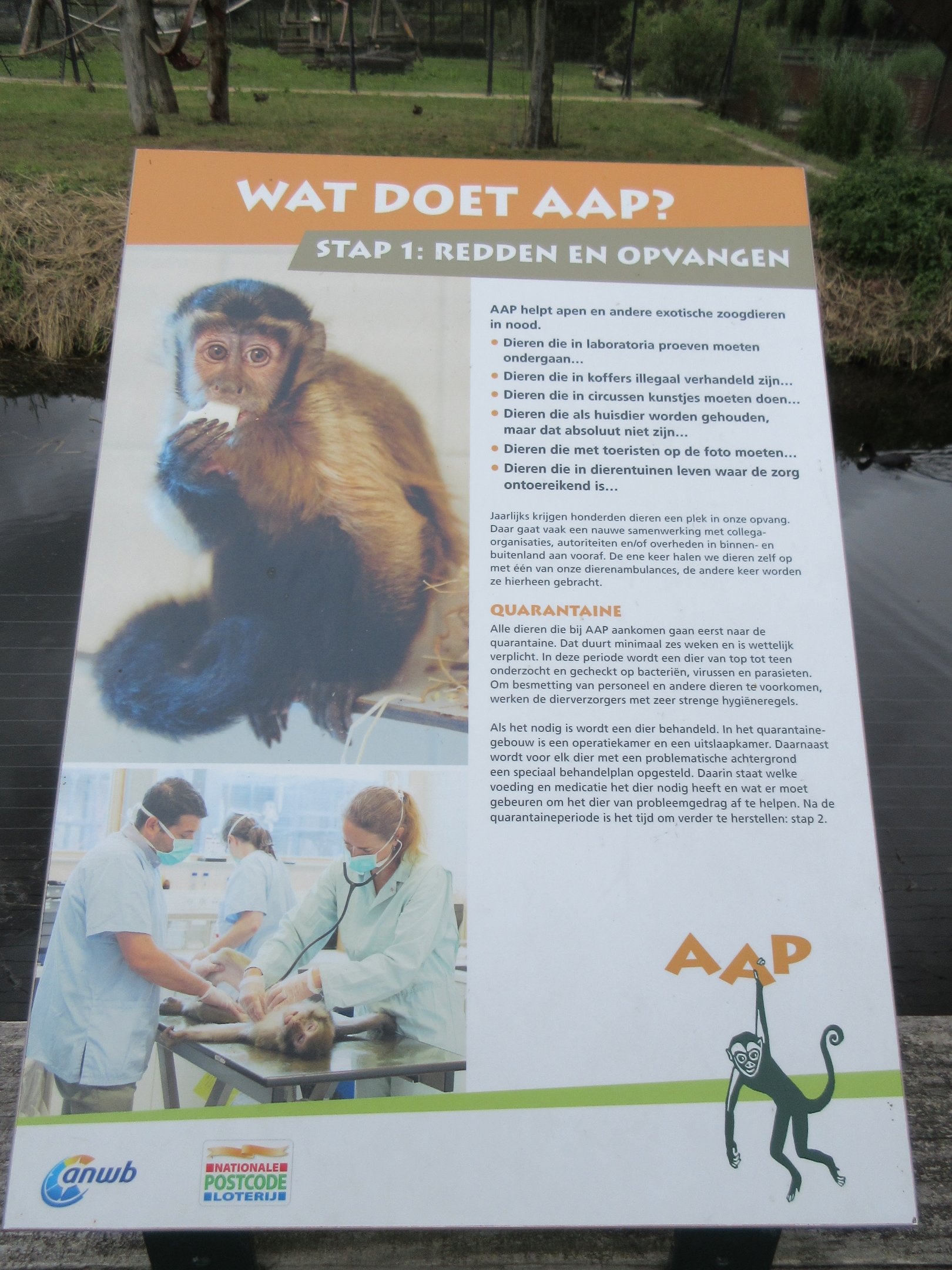 Example of Primate Sign