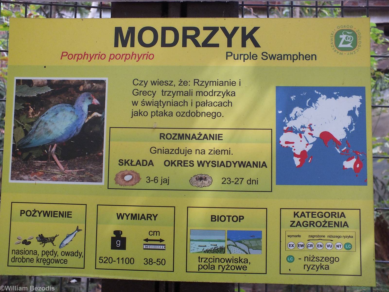 Example of re-done Sign