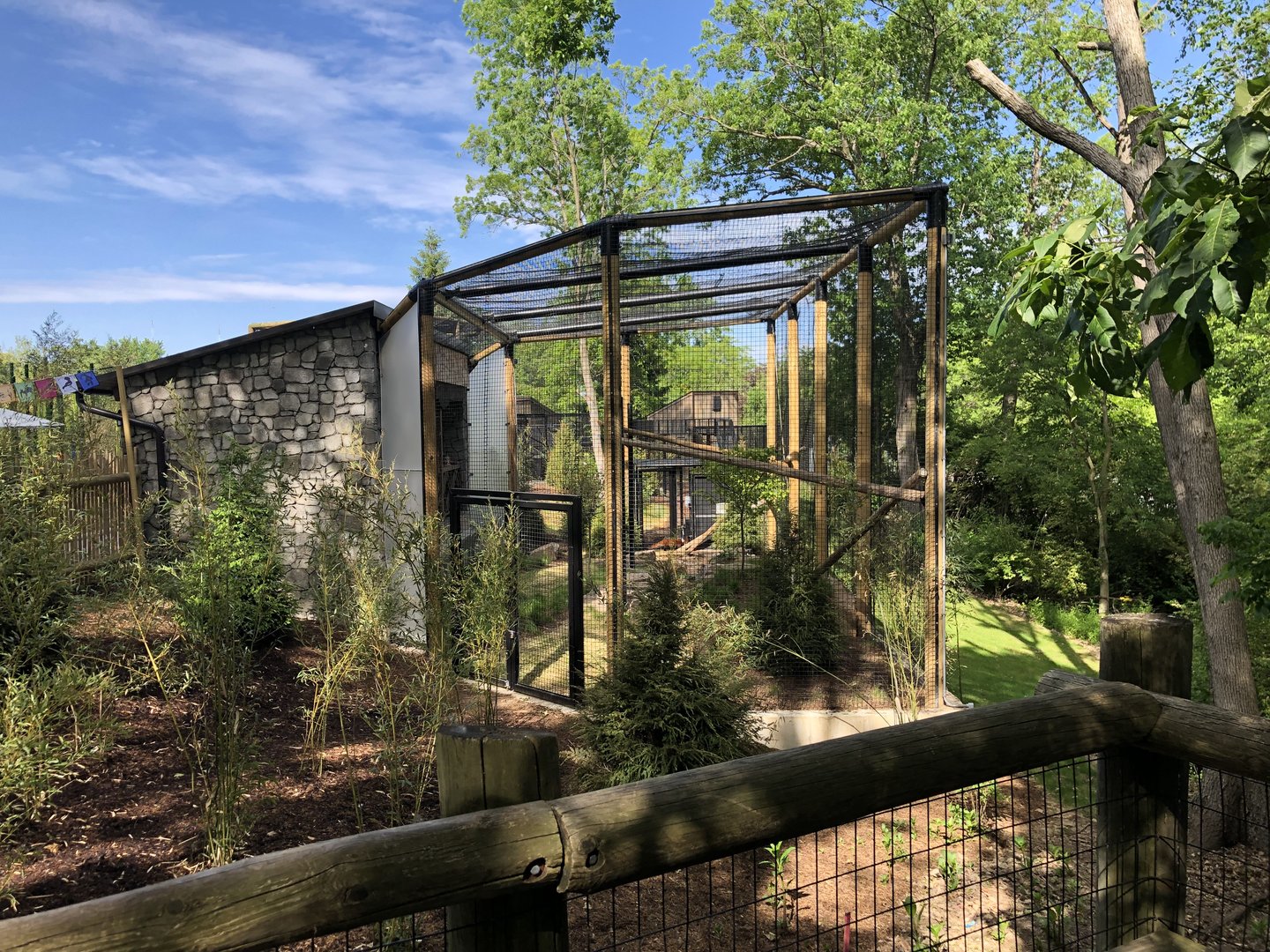 Example of Red Panda Exhibit
