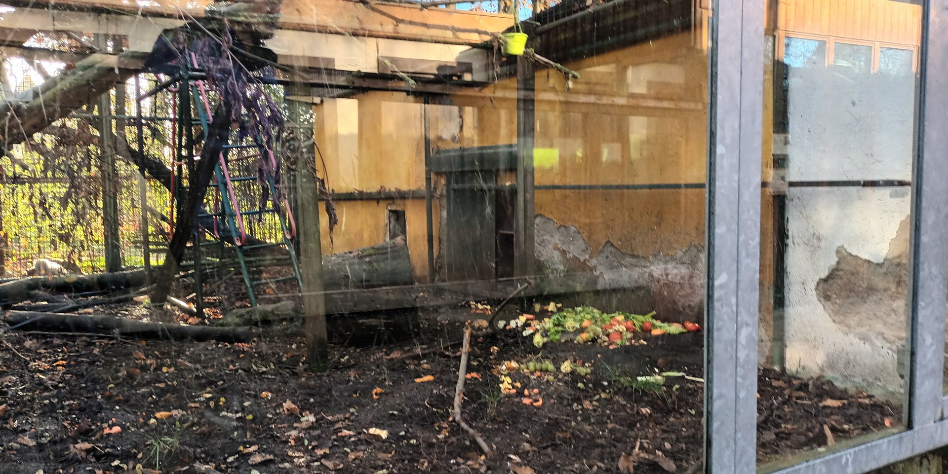 Example of Rotational Primate Enclosure