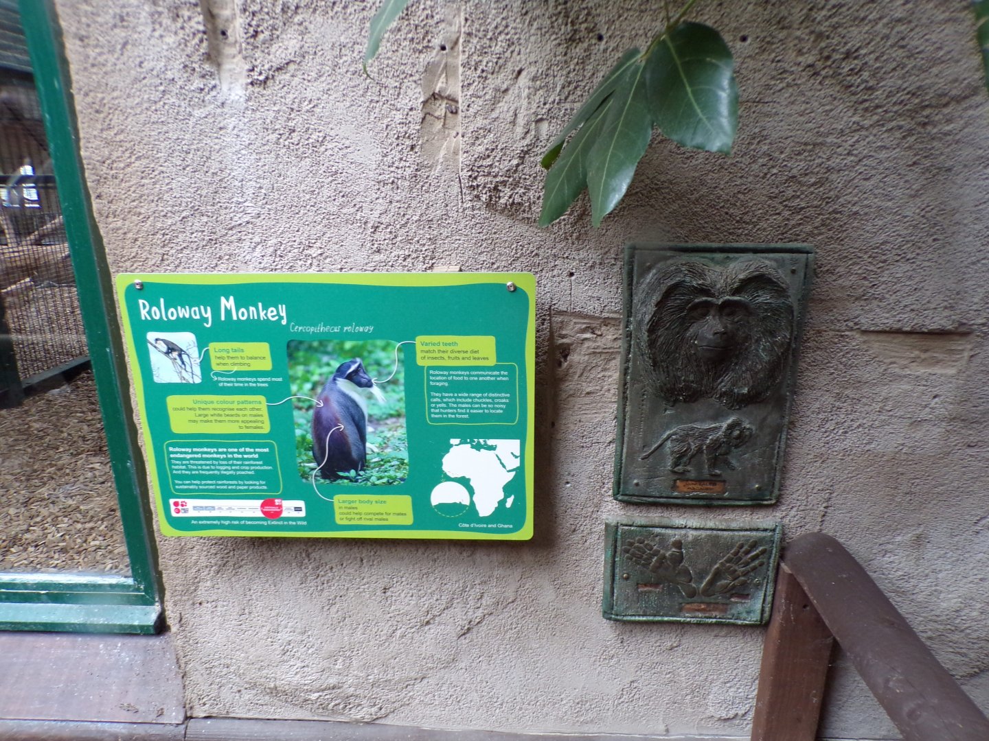 Example of sign 29.6.24