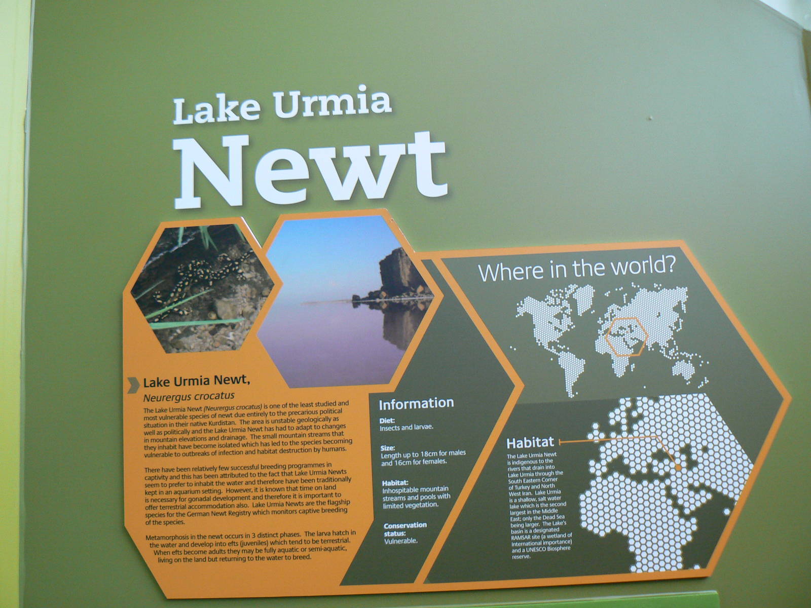 Example of Signage - 12 June 2016, Askham Bryan College