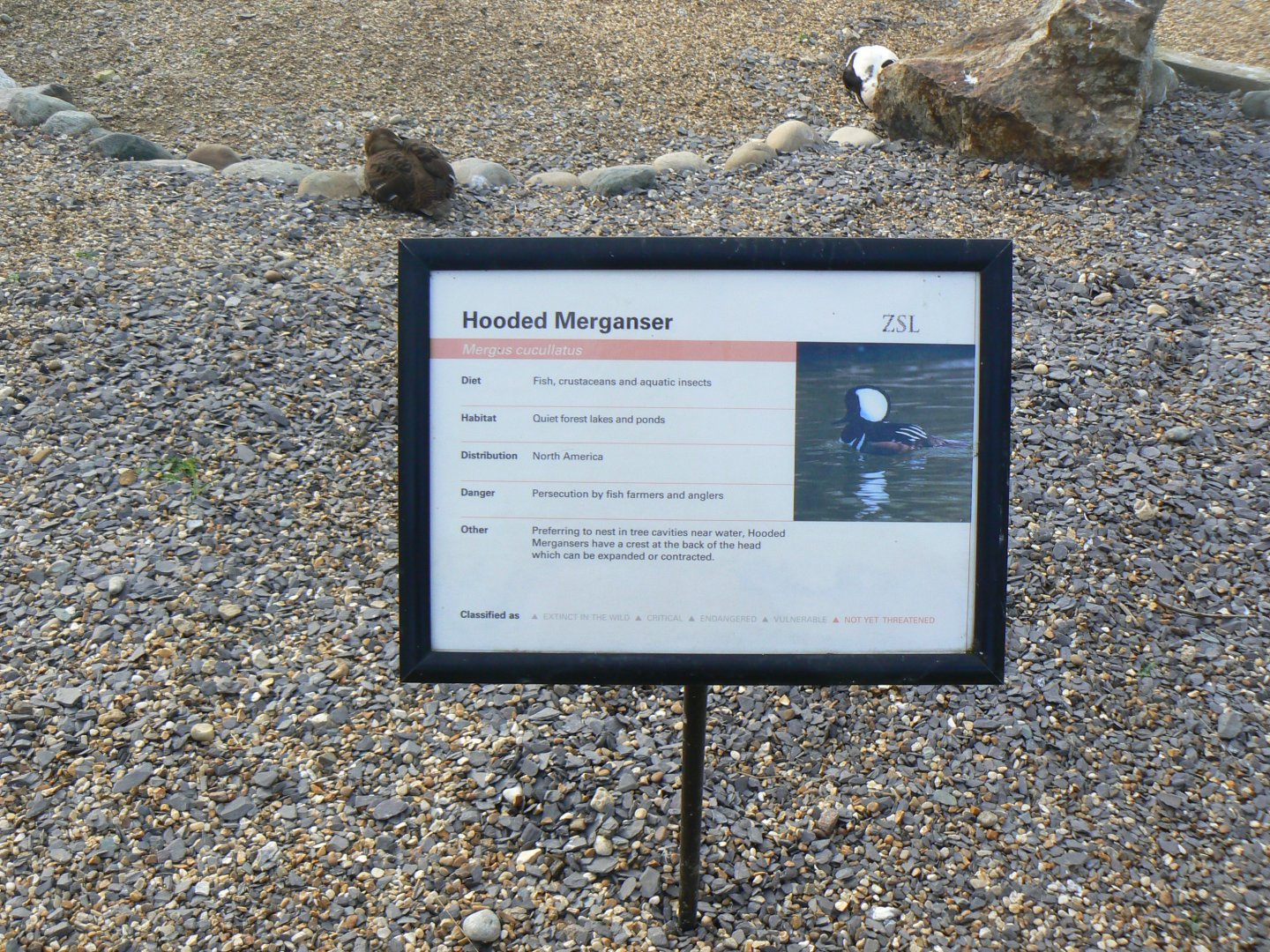 Example of Signage - 15 October 2016