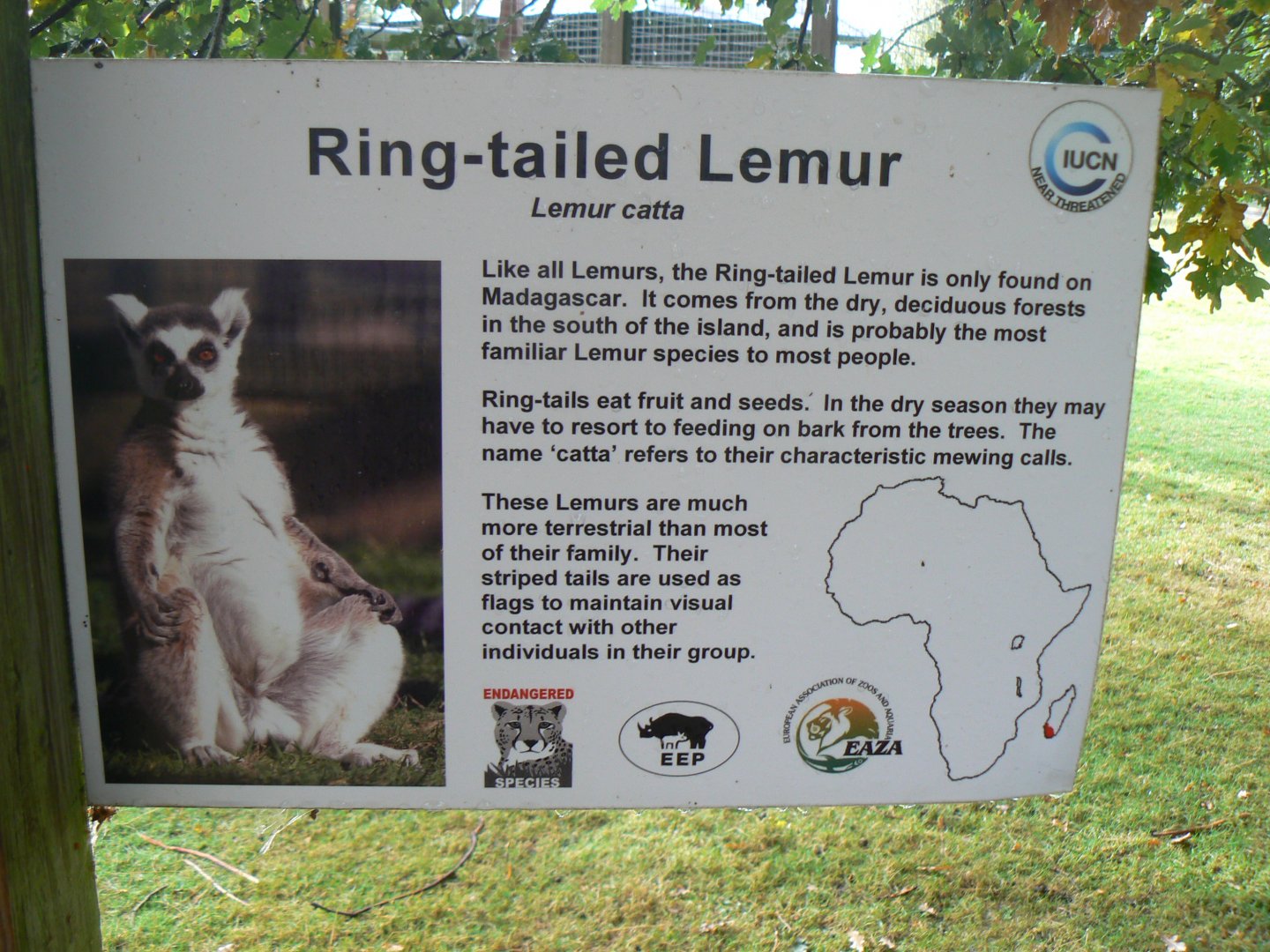 Example of Signage - 16 October 2016