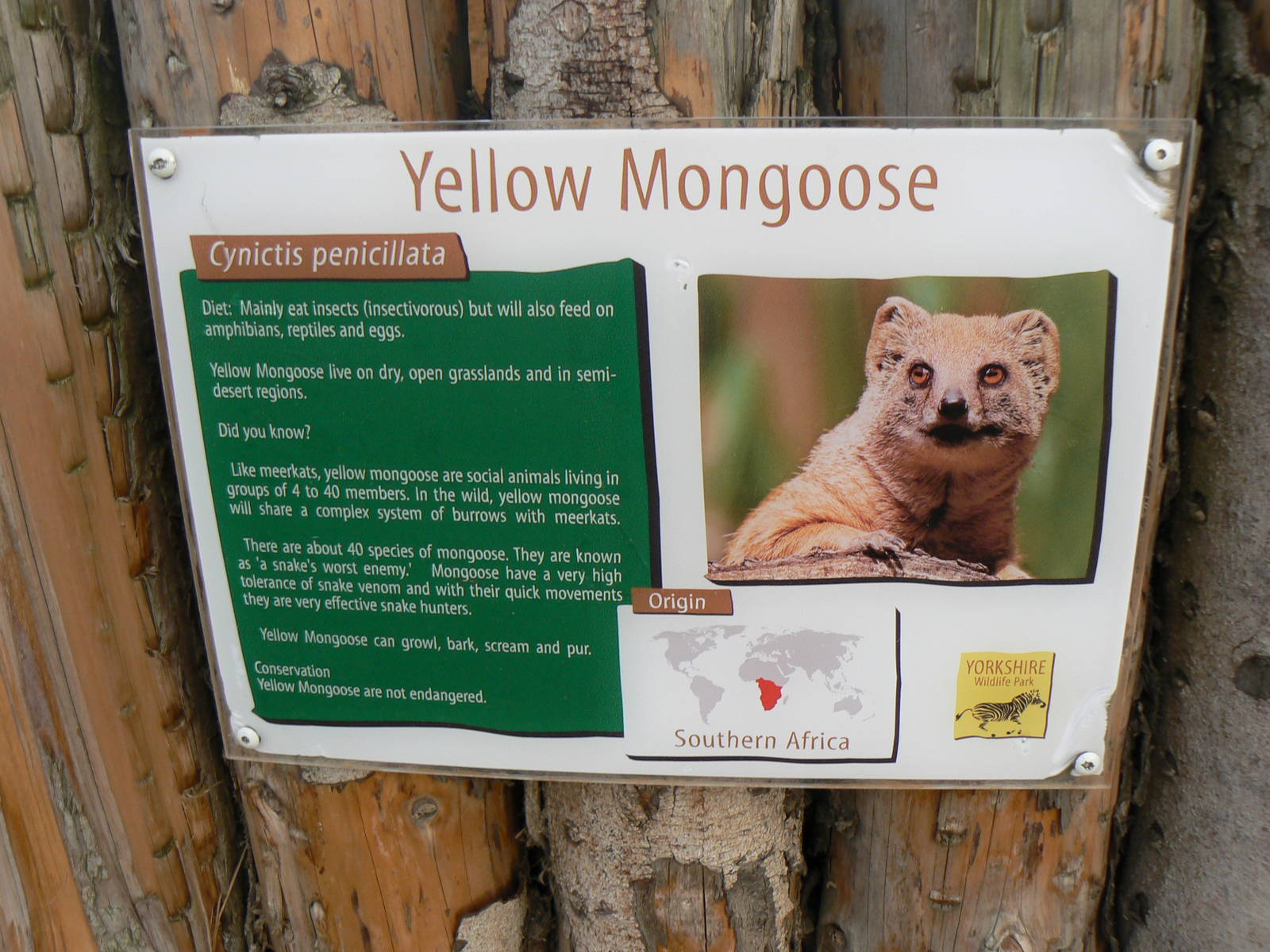 Example of Signage - 22 November 2015